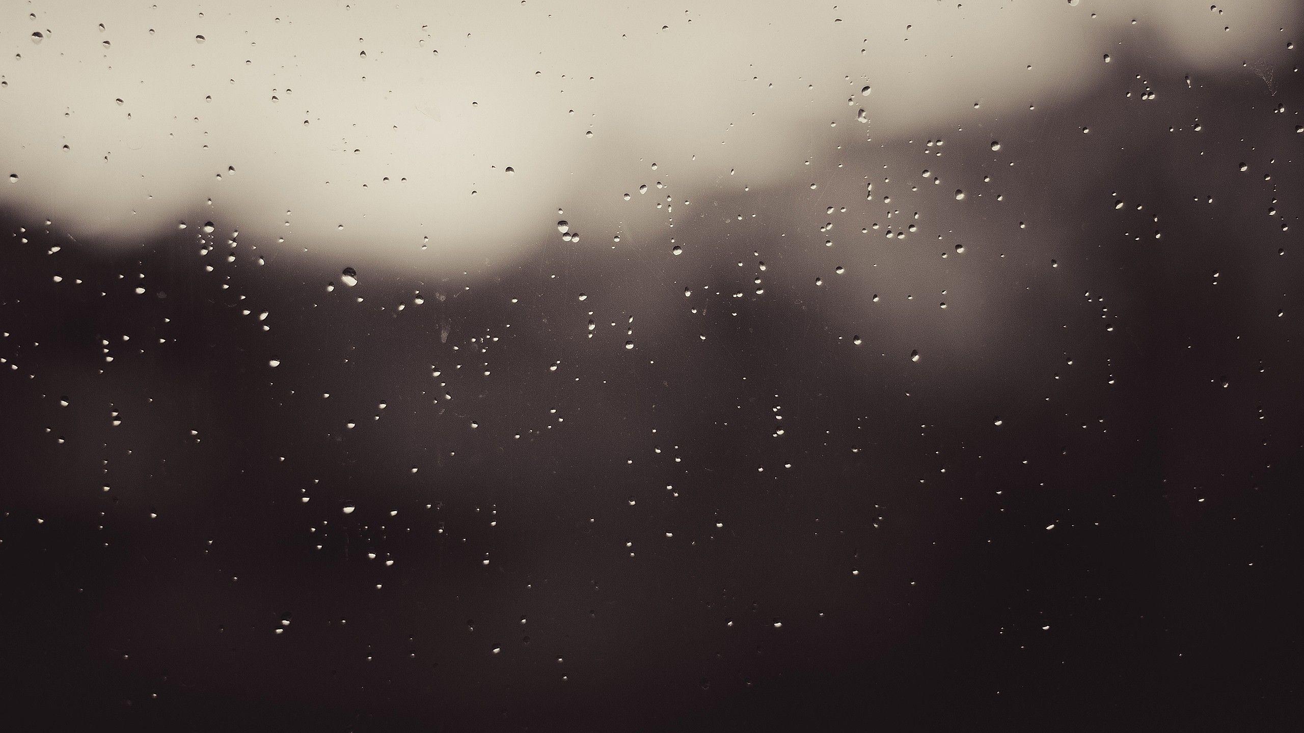 2560x1440 Rainy Weather desktop PC and Mac wallpaper
