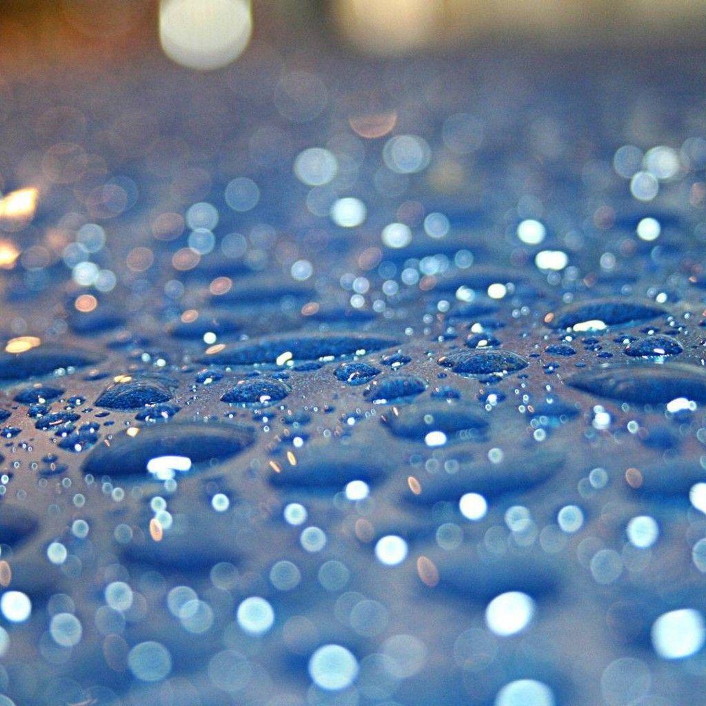 1024x1024 Download 1024x1024 Monsoon Season Blue Rainy HD Background Wallpaper