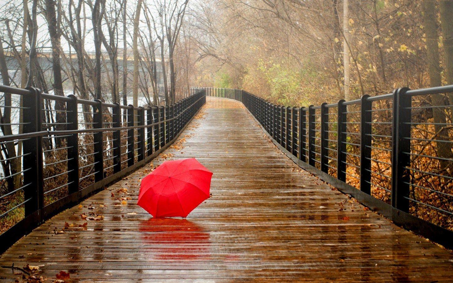 1440x900 Rainy Days Wallpaper & Background Download