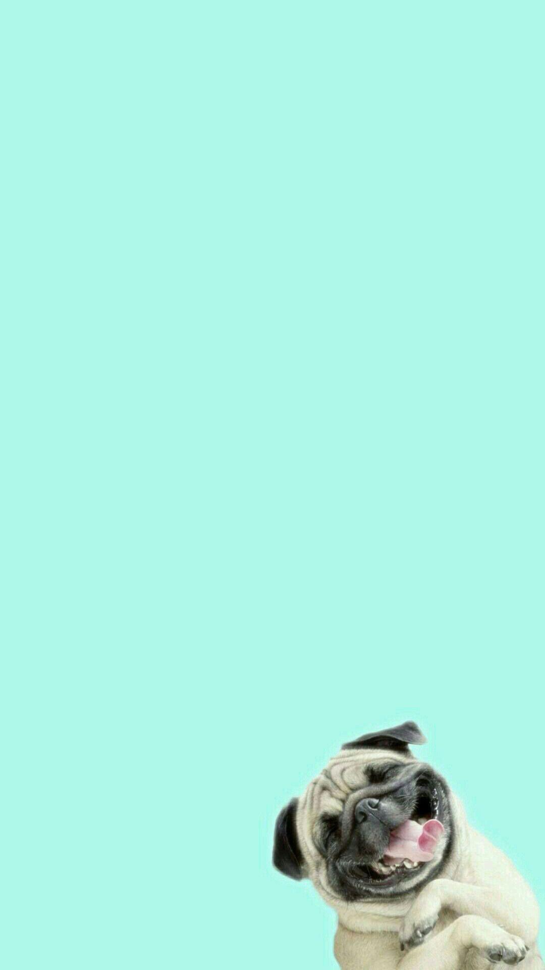 1080x1920 DOUG THE PUG CHRISTMAS the Pug 2018 Wall Calendar