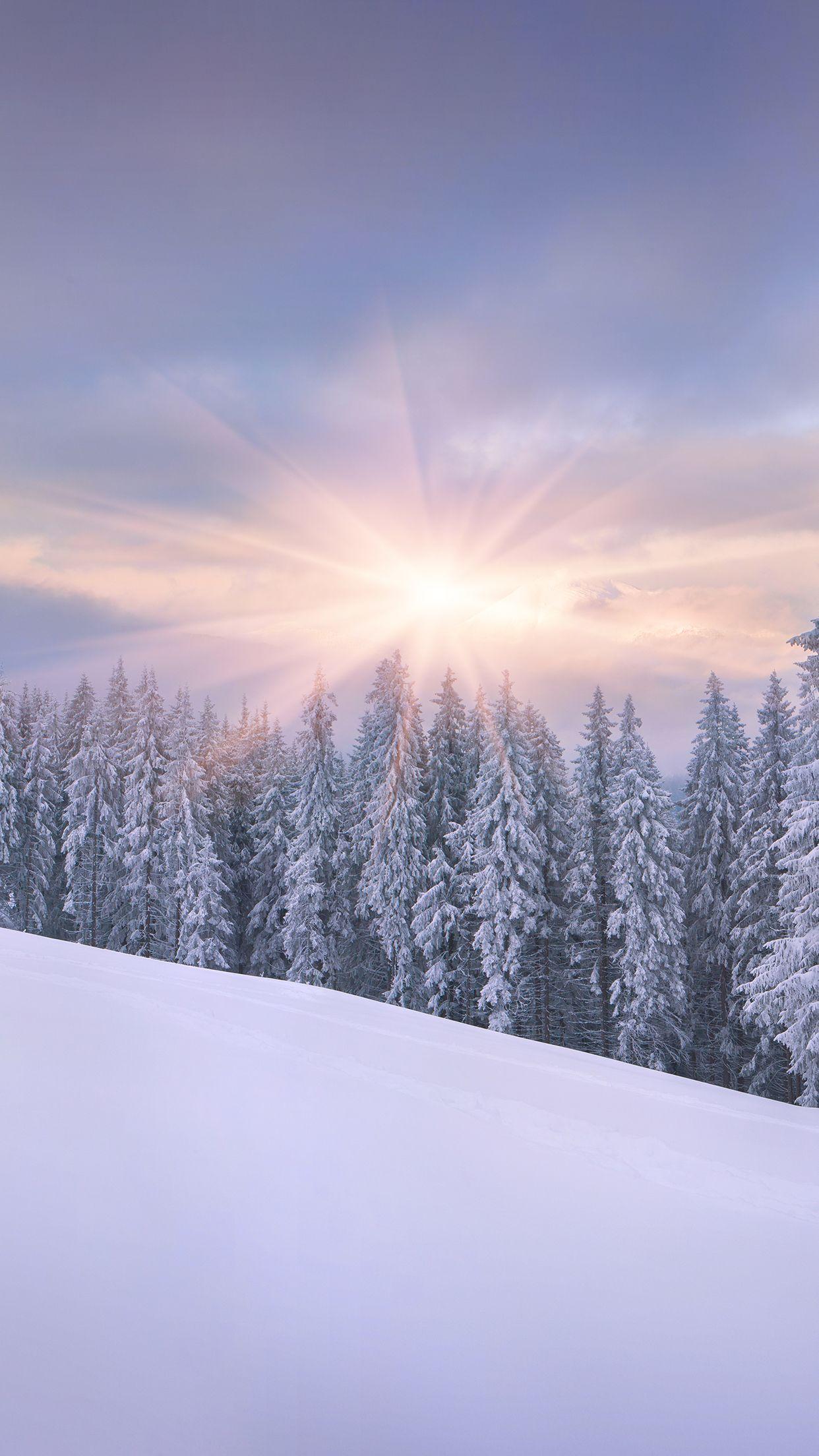 1242x2208 Snow Sunrise Wallpaper for iPhone Pro Max, X, 6