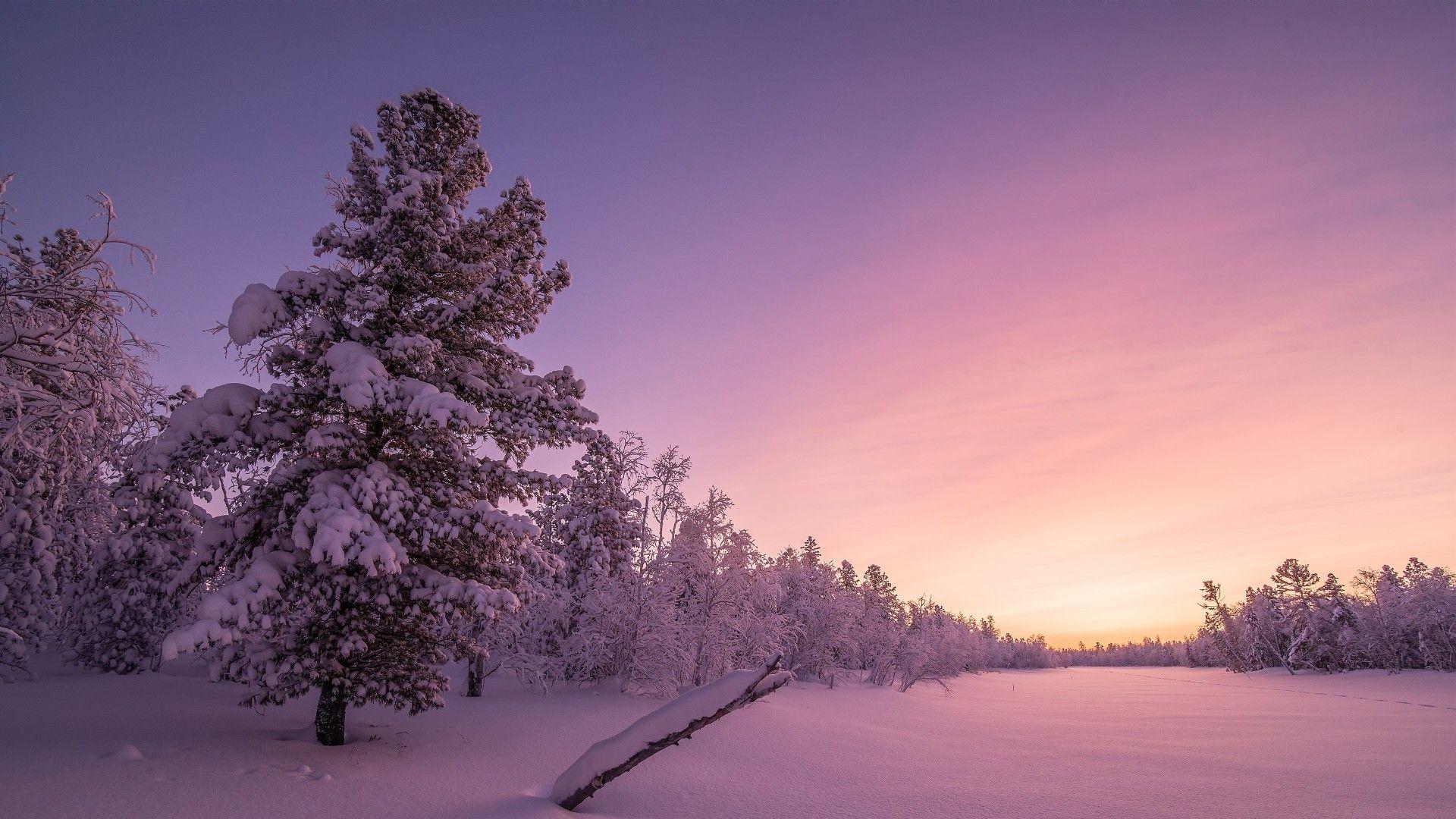 1920x1080 Snowy Forest Sunrise HD Wallpaper Background 4k
