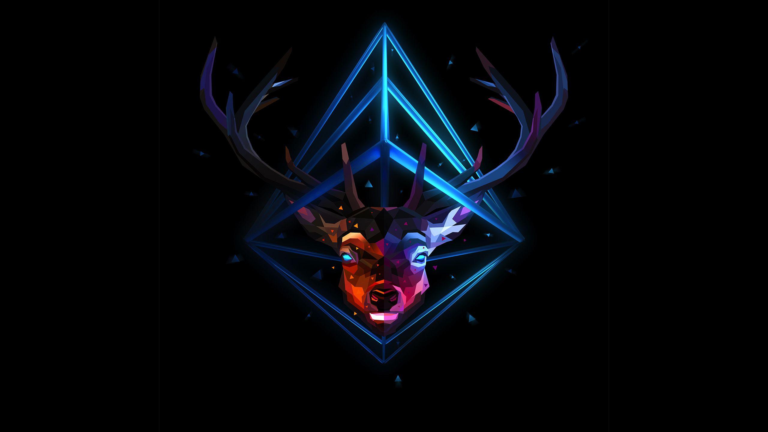 2560x1440 Justin M. Maller • Wallpaper \ Animalactic