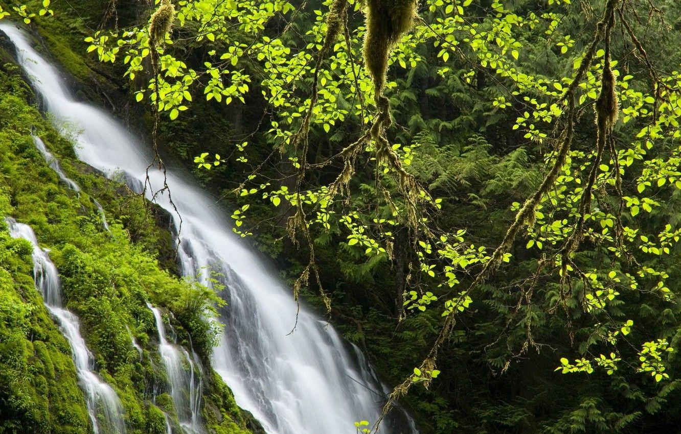 1332x850 Wallpaper greens, summer, trees, mountain, waterfall image