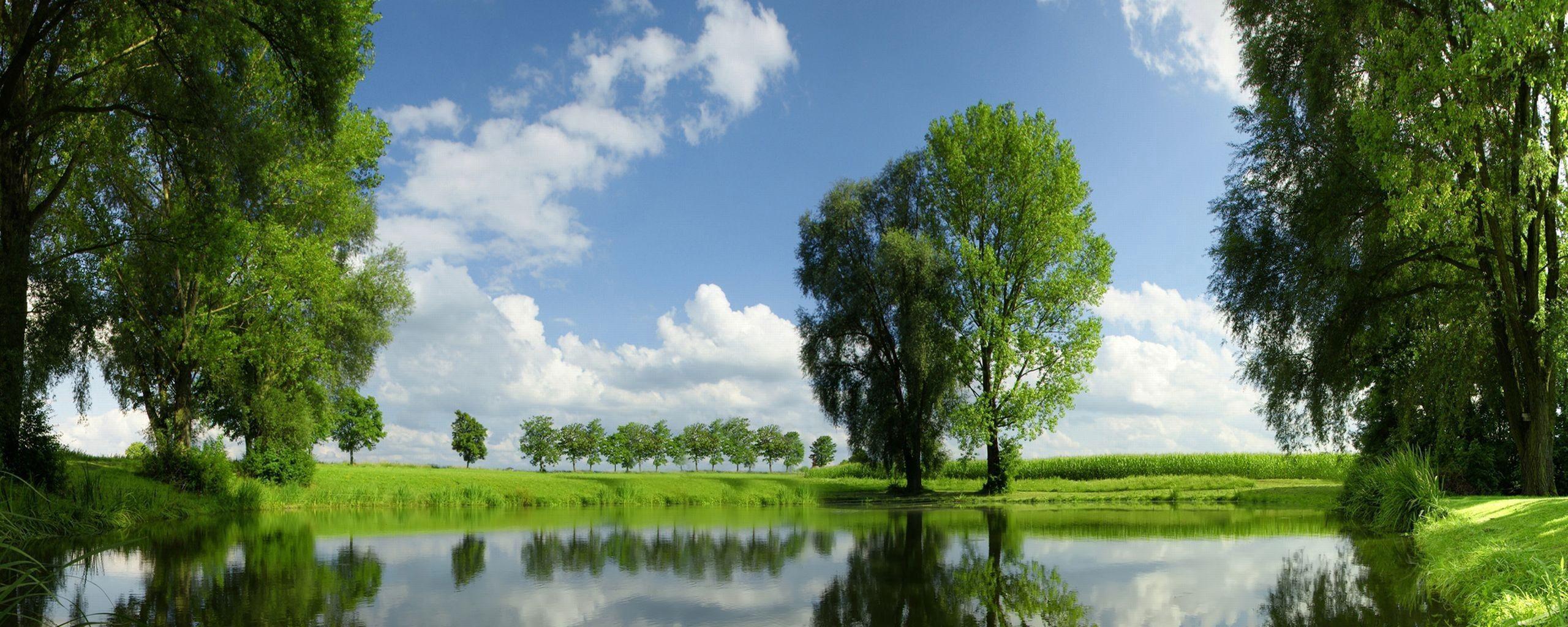 2560x1024 Download wallpaper 2560x1024 trees, summer, river, grass ultrawide