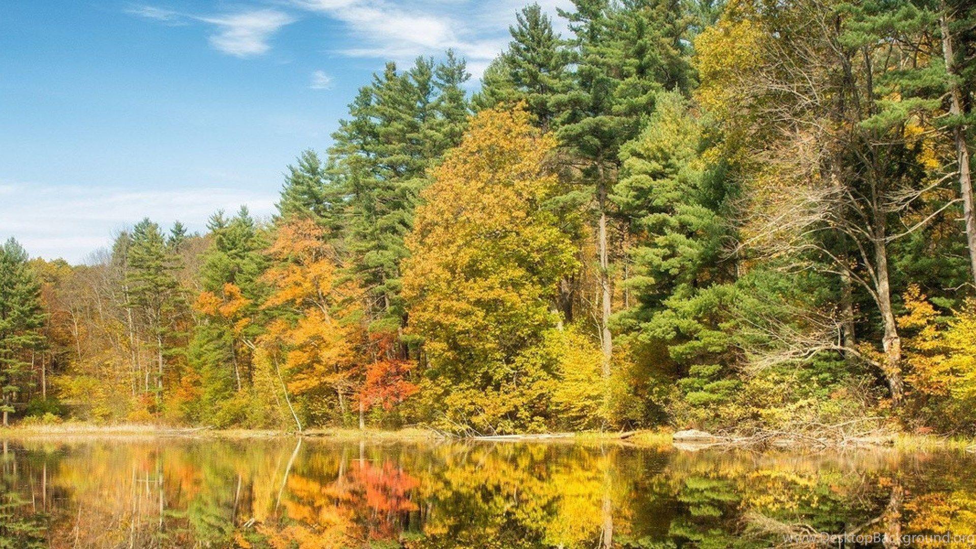 1920x1080 Download Wallpaper 3840x1200 Trees, Autumn, Summer, River Dual