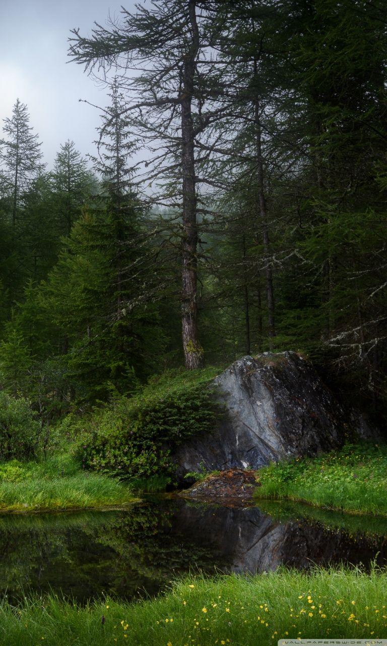 768x1280 French Alps Summer Mountain Landscape Ultra HD Desktop Background