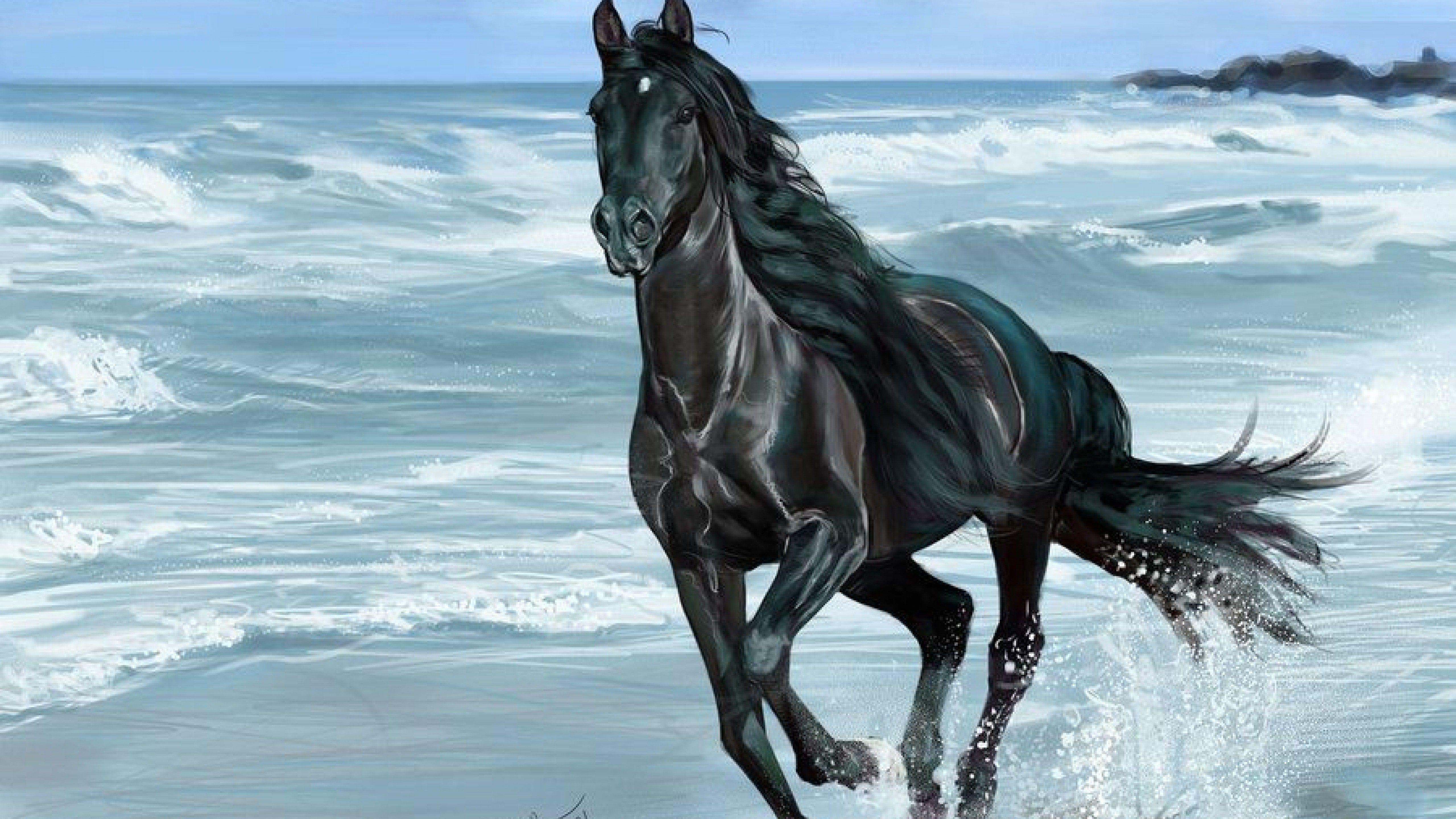 5120x2880 5k Painting Art Of Black Horse Running On Beach Horse On
