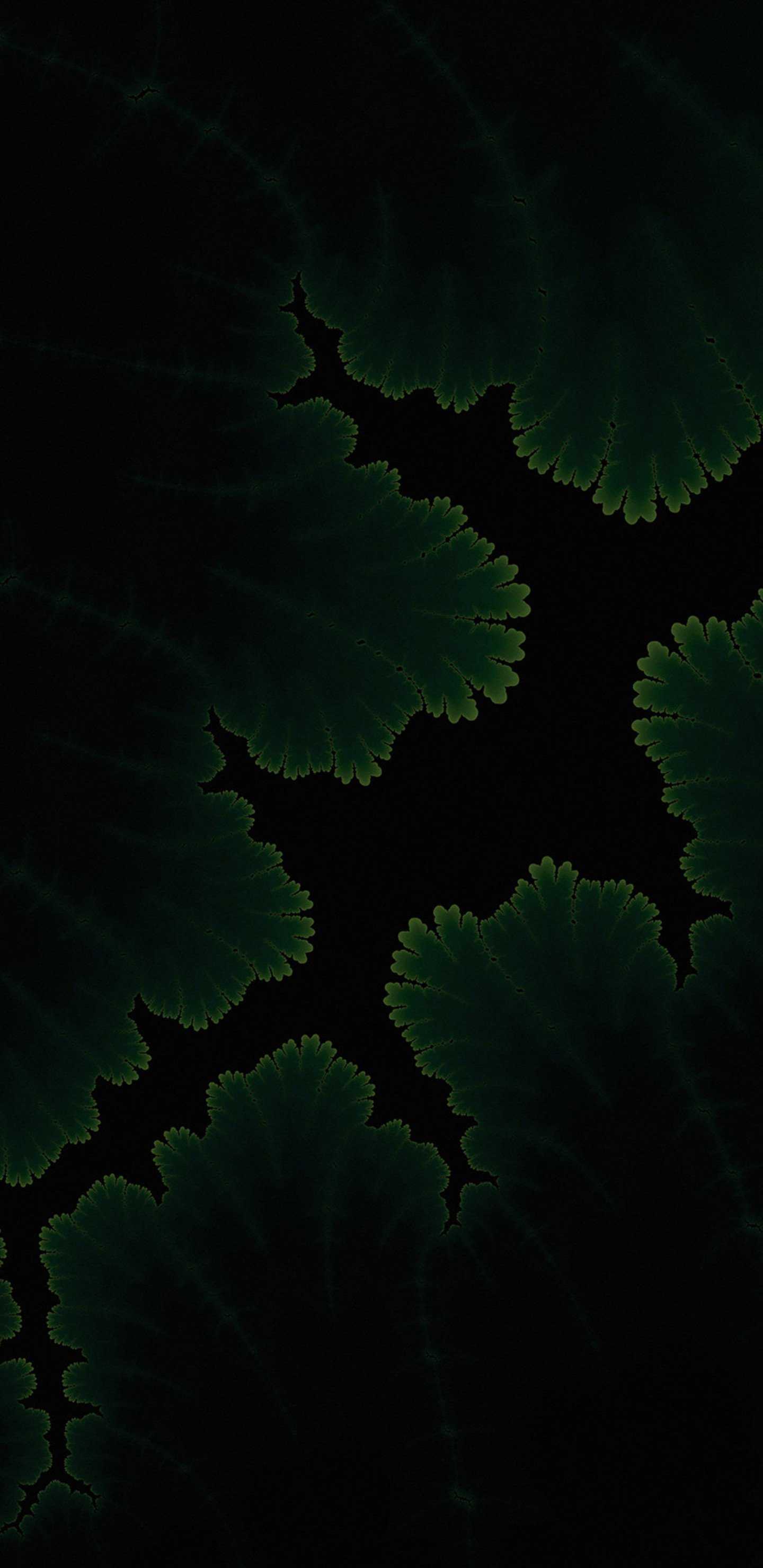 1440x2960 Green Plants Dark Amoled HD Wallpaper (1440x2960)