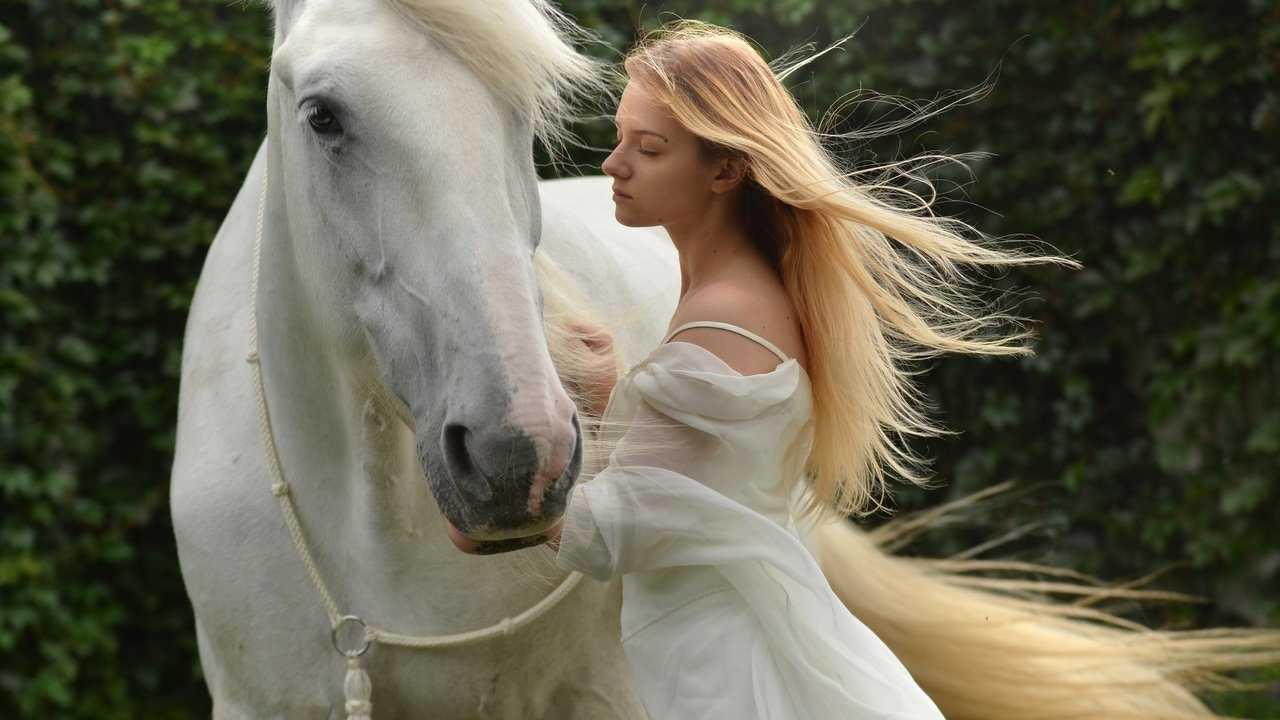 1280x720 Girl With White Horse 5K HD Wallpaper (1280x720)