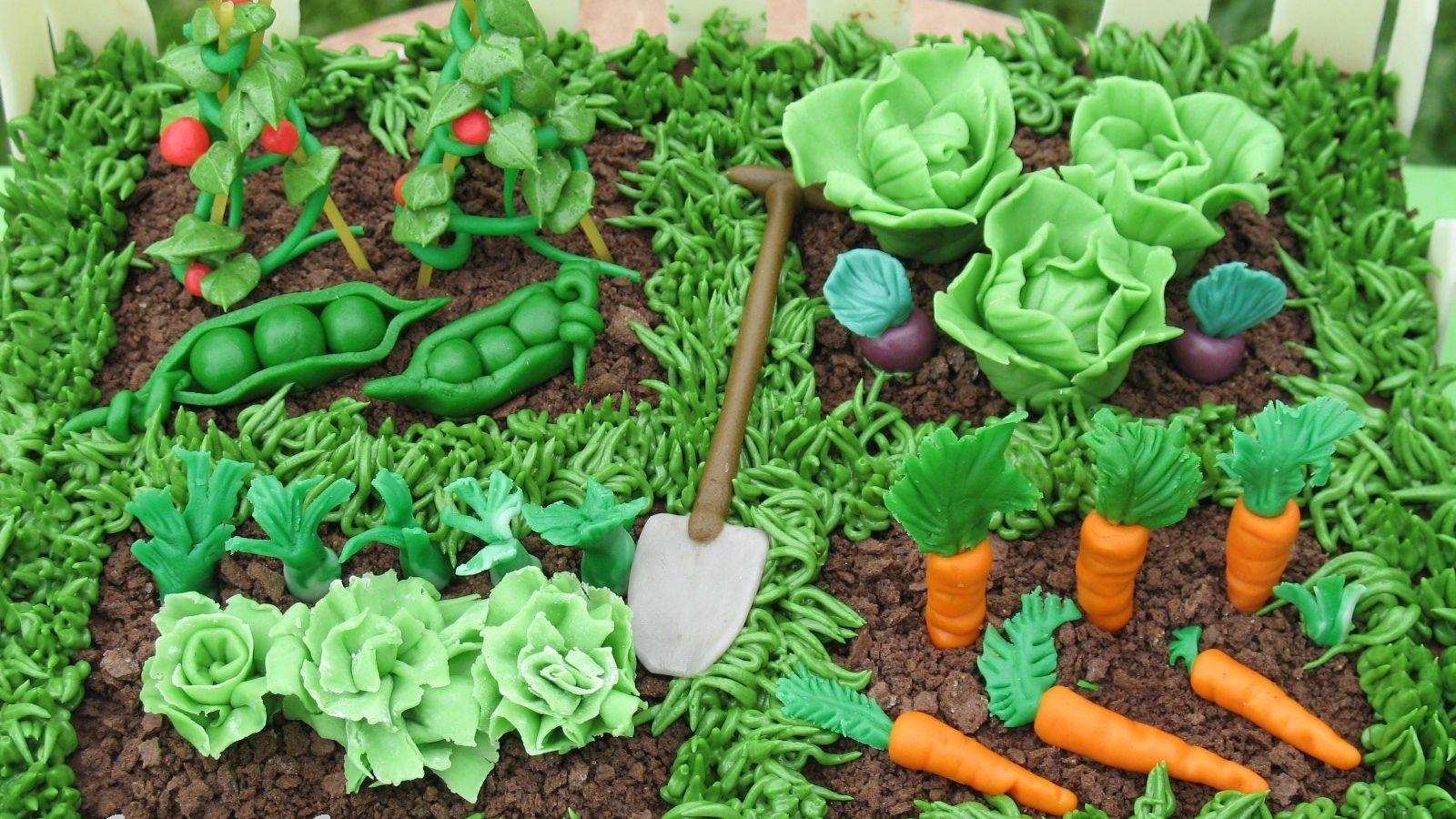 Vegetable Garden Wallpapers Top Free Vegetable Garden Backgrounds