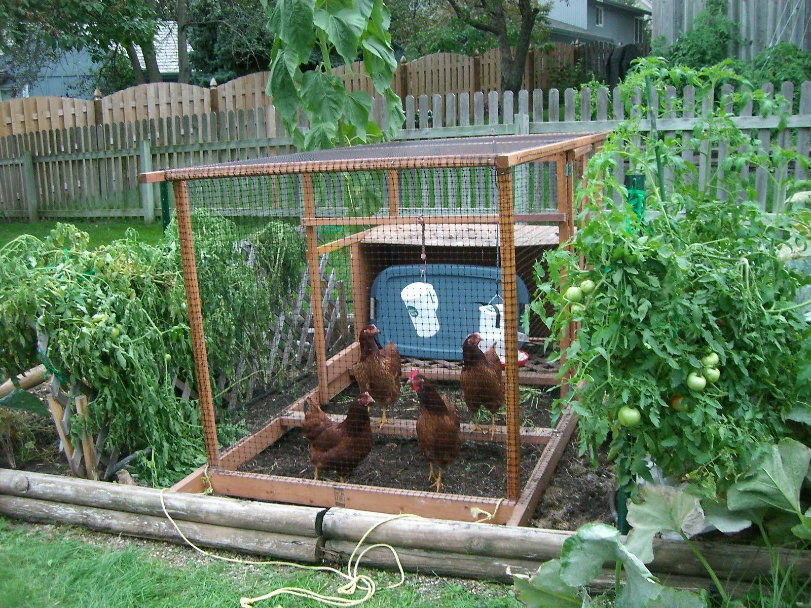 1600x1200 Small Vegetable Garden Ideas. Backyard Vegetable Garden Ideas
