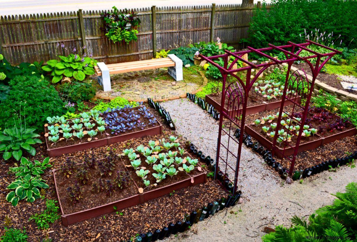 Vegetable Garden Wallpapers - Top Free Vegetable Garden Backgrounds ...