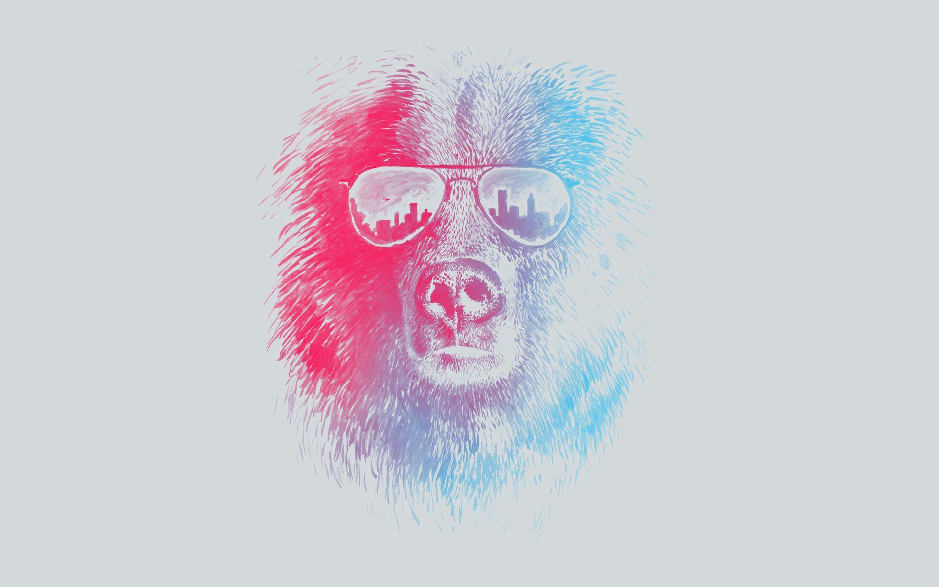 1920x1200 sunglasses, bears wallpaper
