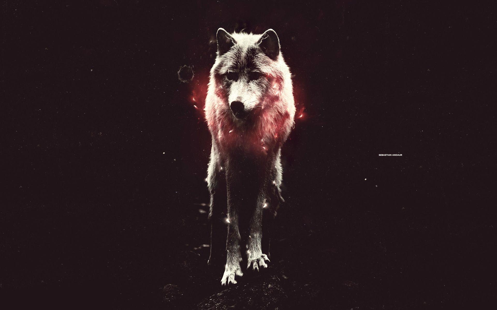 1920x1200 Hipster Wolf Wallpaper
