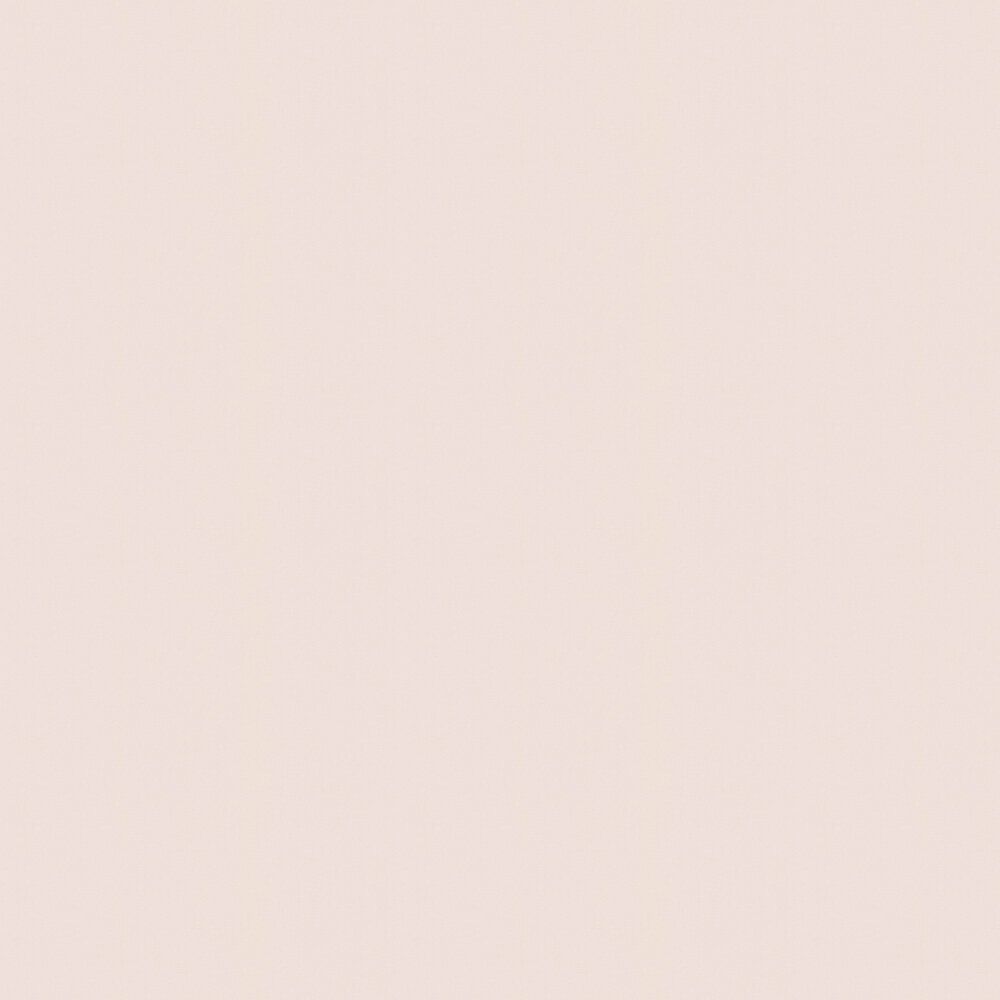 Blush Pink Wallpapers - Top Free Blush Pink Backgrounds - WallpaperAccess