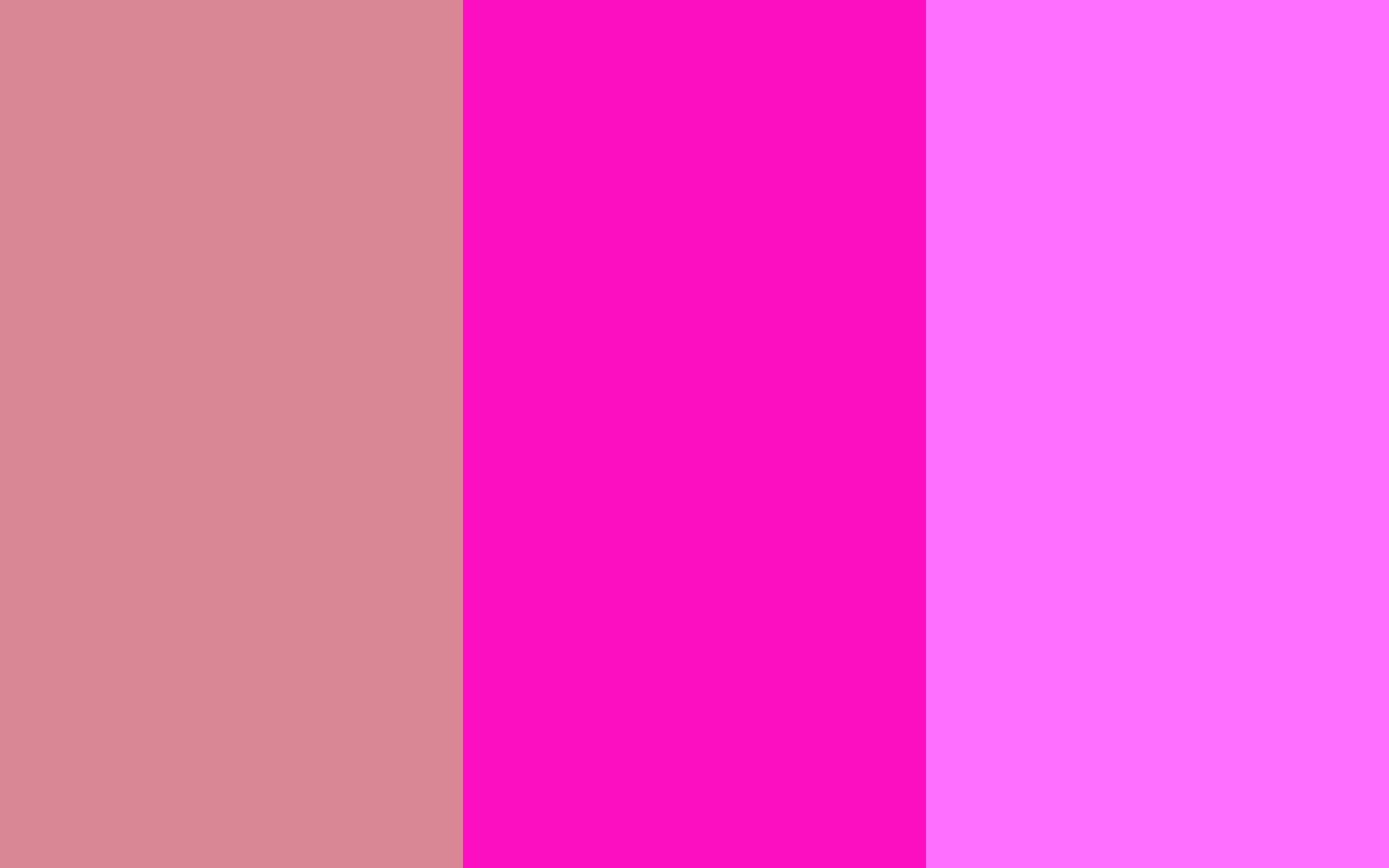 Розовый цвет тон. Розовый цвет. Оттенки розового. Фуксия цвет палитра. Яркие оттенки розового.