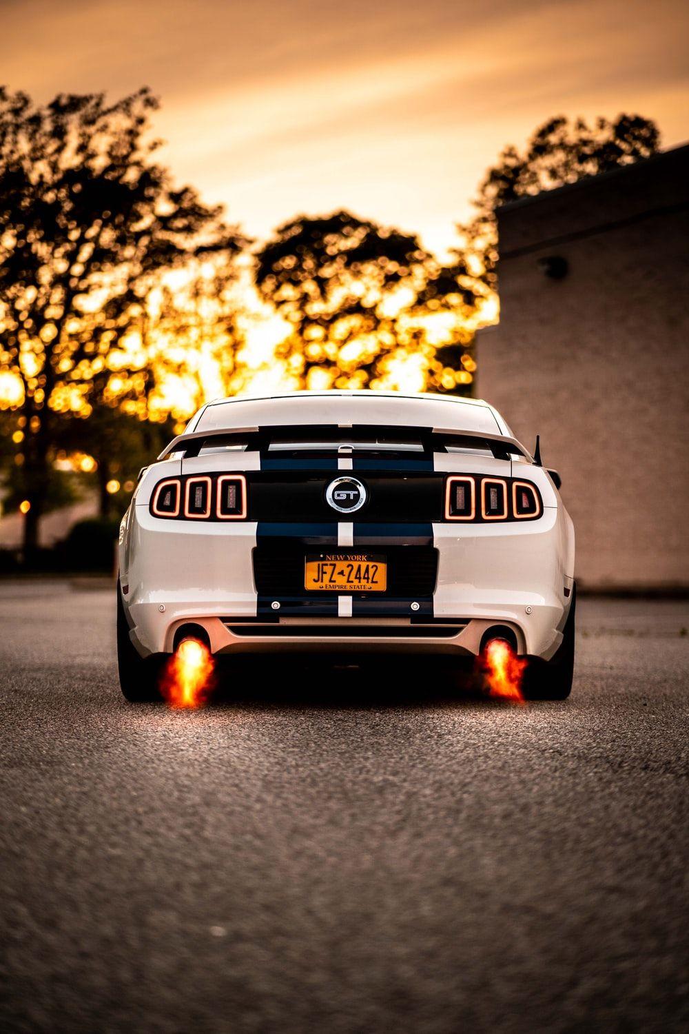 New Mustang Wallpapers - Top Free New Mustang Backgrounds - WallpaperAccess