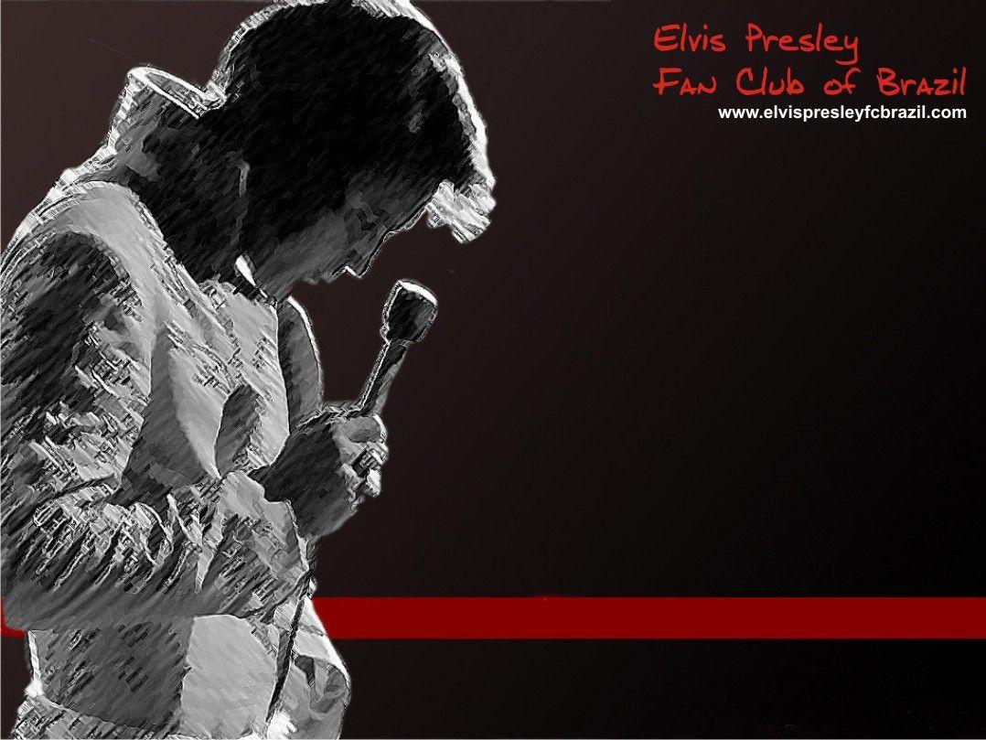 1078x809 Free download Pics Photo Elvis Presley Wallpaper