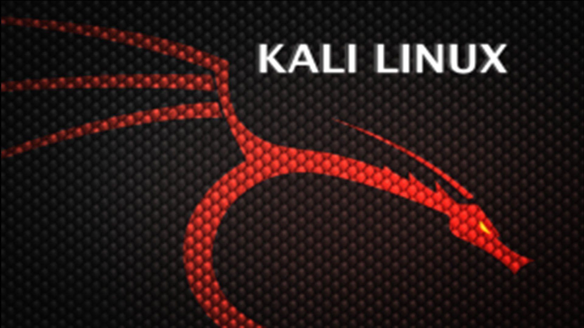 Kali Linux 4k Wallpapers - Top Free Kali Linux 4k Backgrounds -  WallpaperAccess