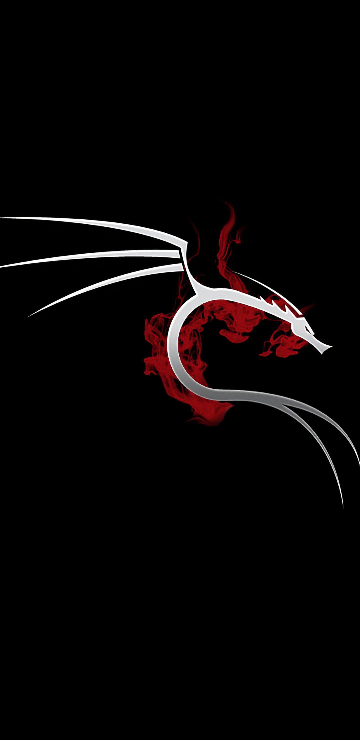 Kali Wallpapers Top Free Kali Backgrounds WallpaperAccess