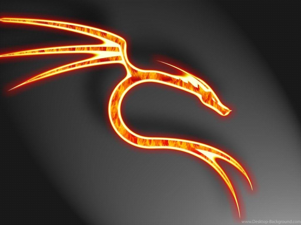 1024x768 Wallpaper Fire Vs Water Dragon Djan HD And Abstract Linux