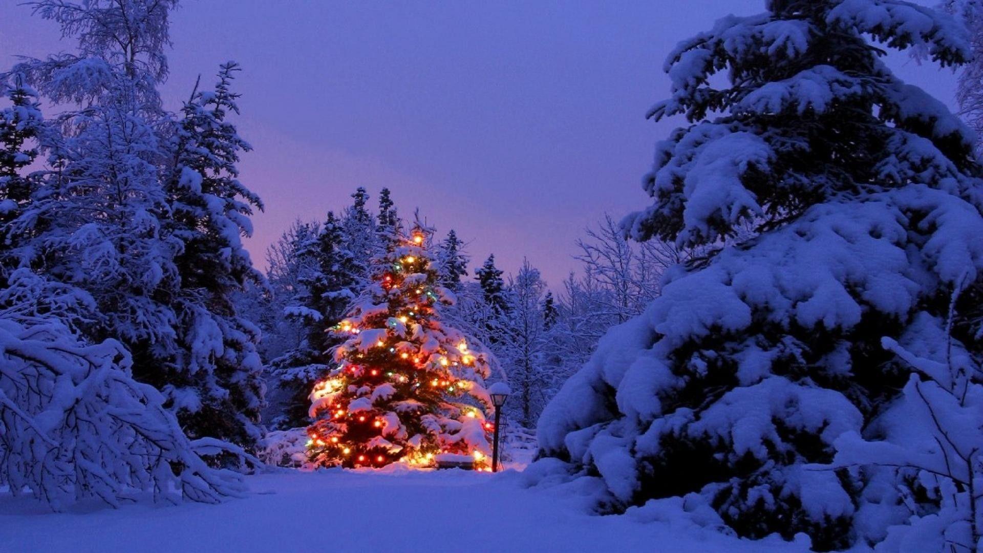 Christmas Scenes Wallpapers - Top Free Christmas Scenes Backgrounds ...