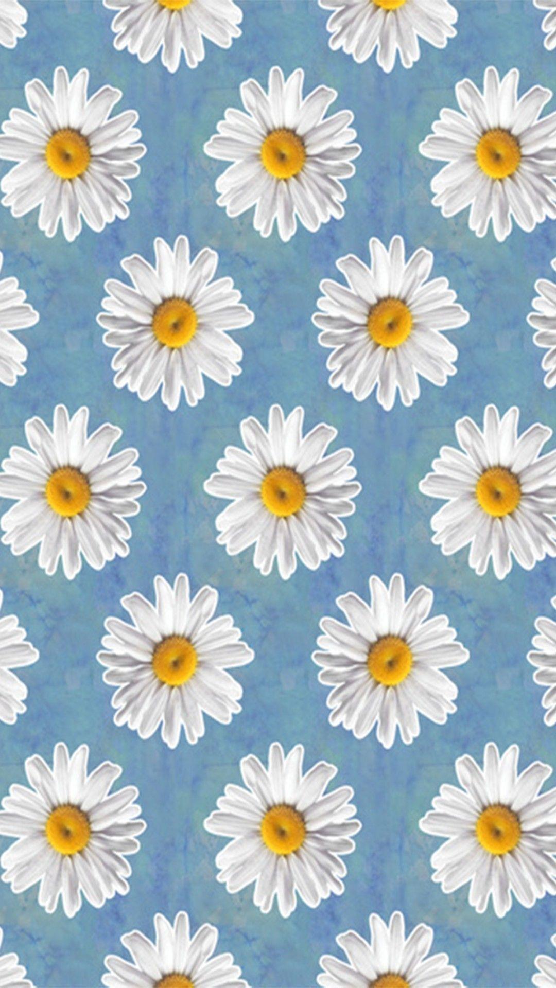 Daisy Iphone Wallpapers Top Free Daisy Iphone Backgrounds Wallpaperaccess