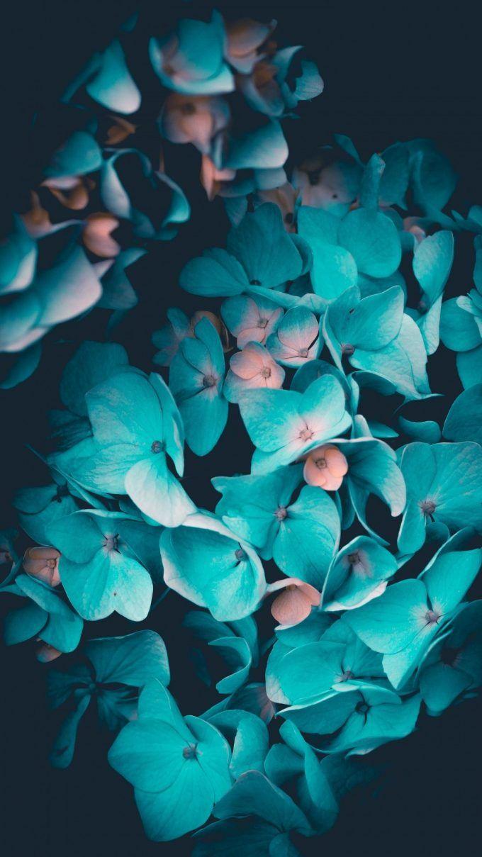 680x1209 Contemporary iPhone Wallpaper