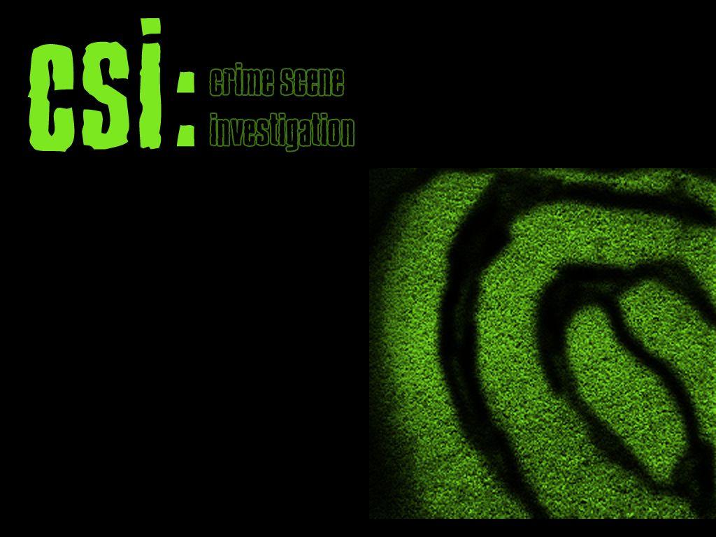 1024x768 Painting Conservation: the CSI of the Museum World. Tyne & Wear