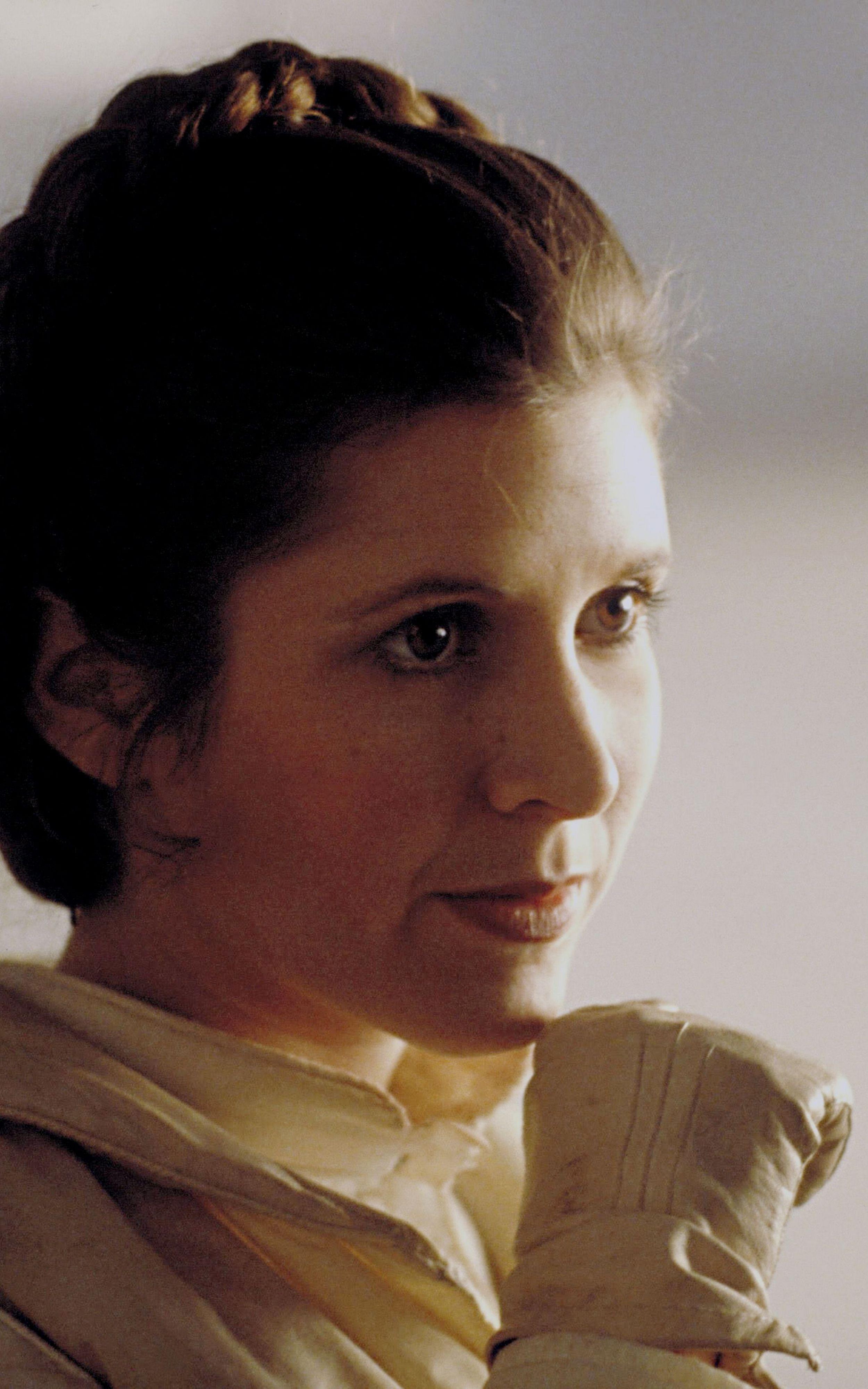 2500x4000 Princess Leia By Mike Mitchell Fisher