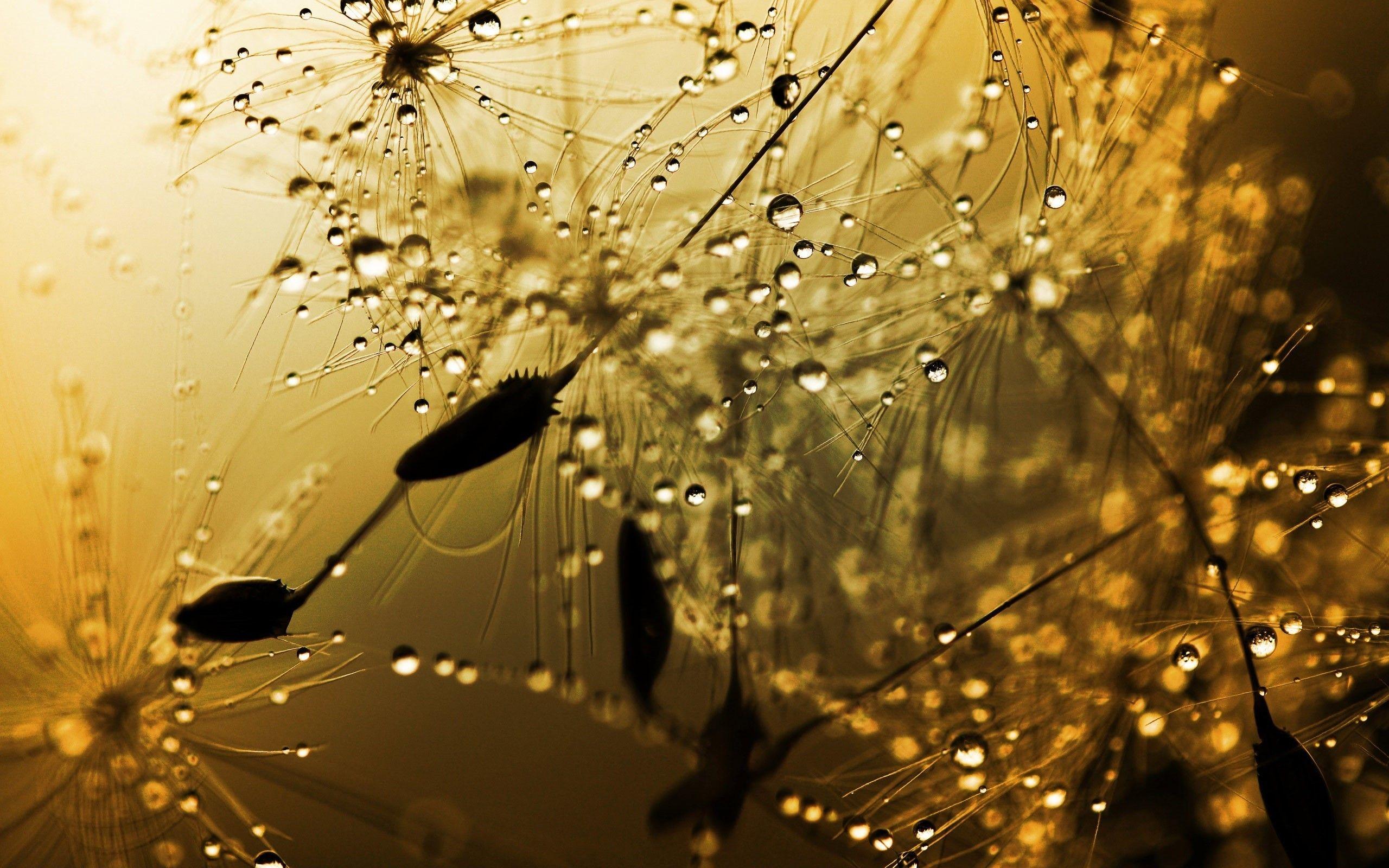 2560x1600 Rainy Weather Wallpaper