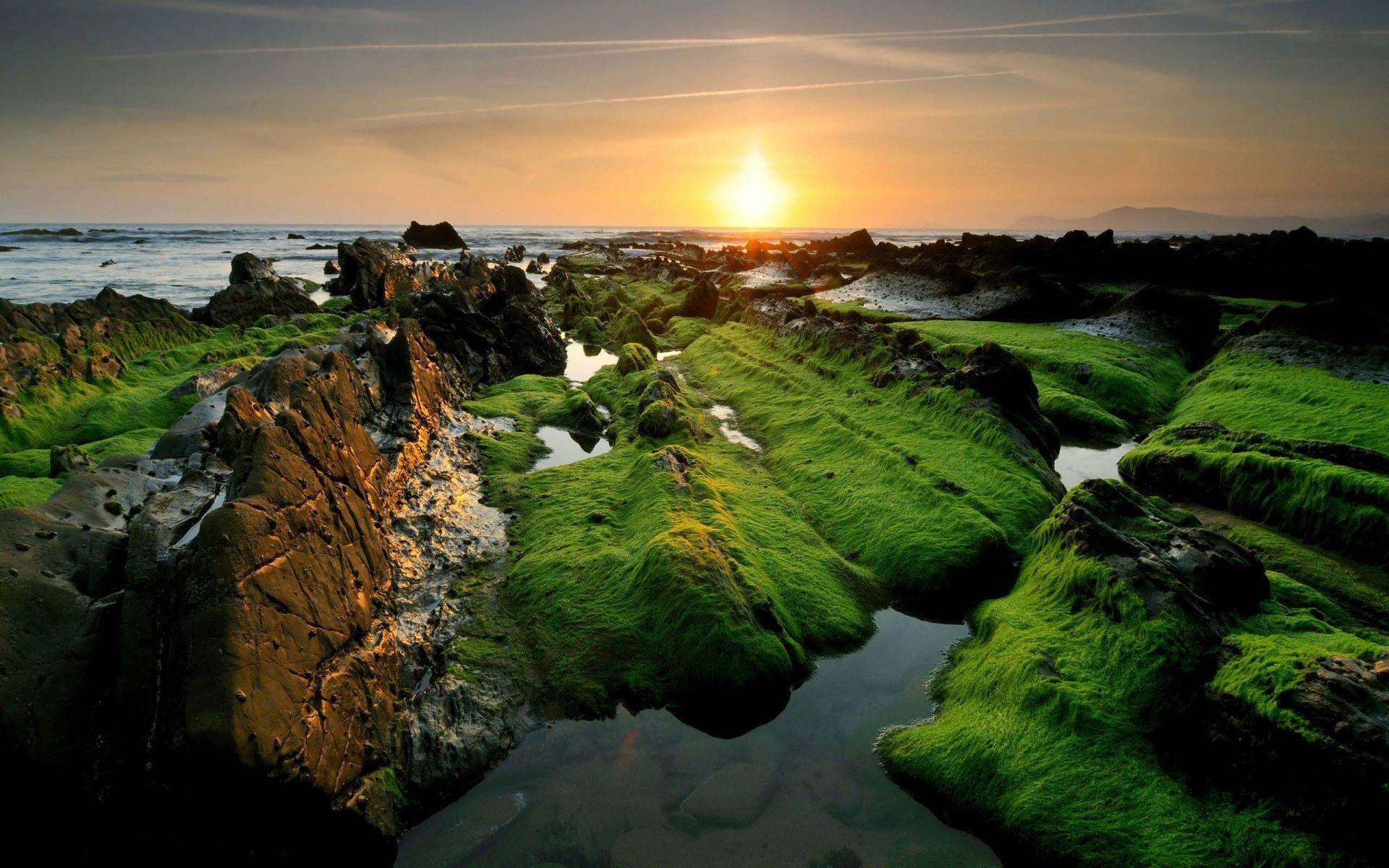 1920x1200 Shore In India 01 Wallpaper Of Nature In India