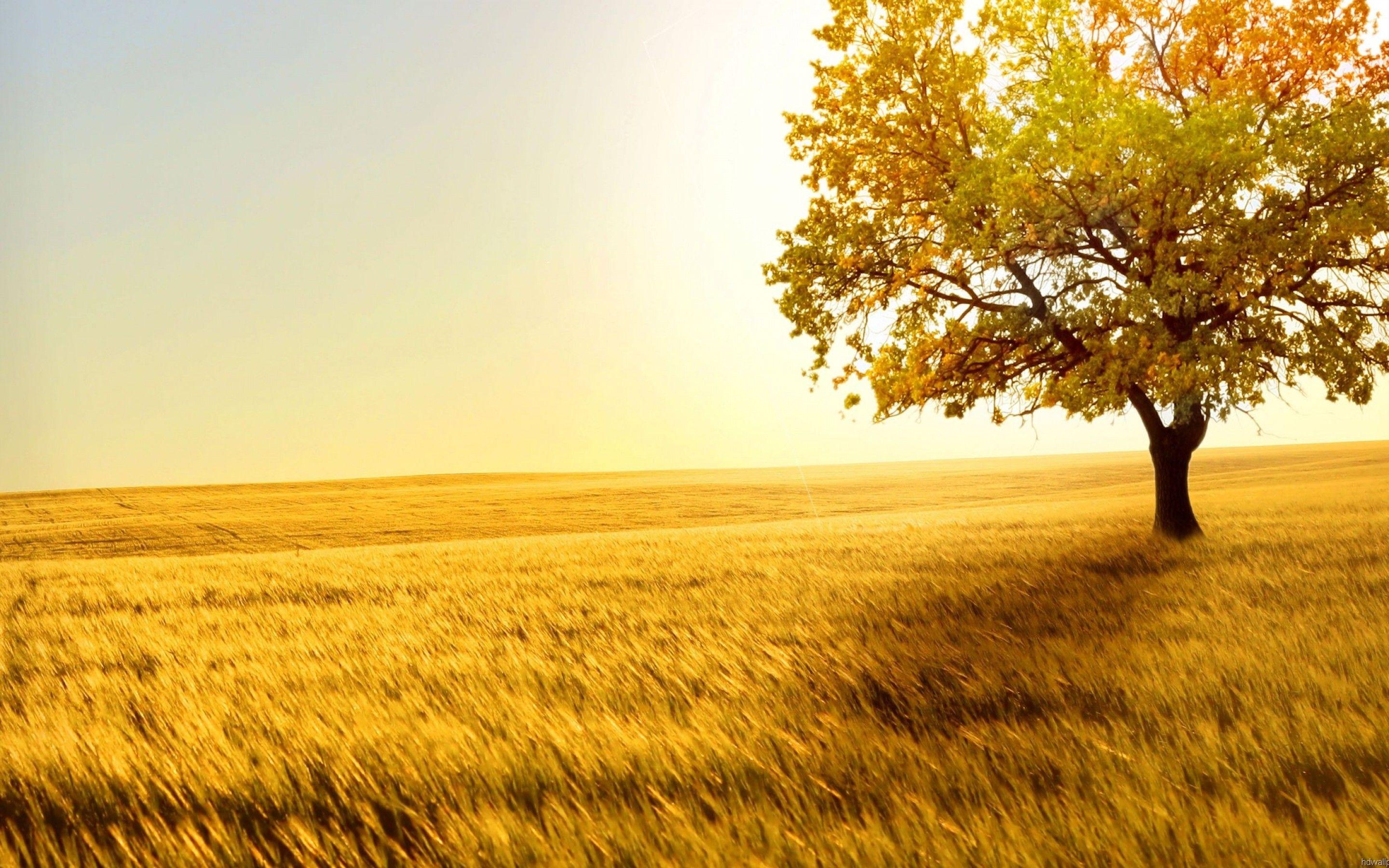 2880x1800 Nature wallpaper. nature and landscape