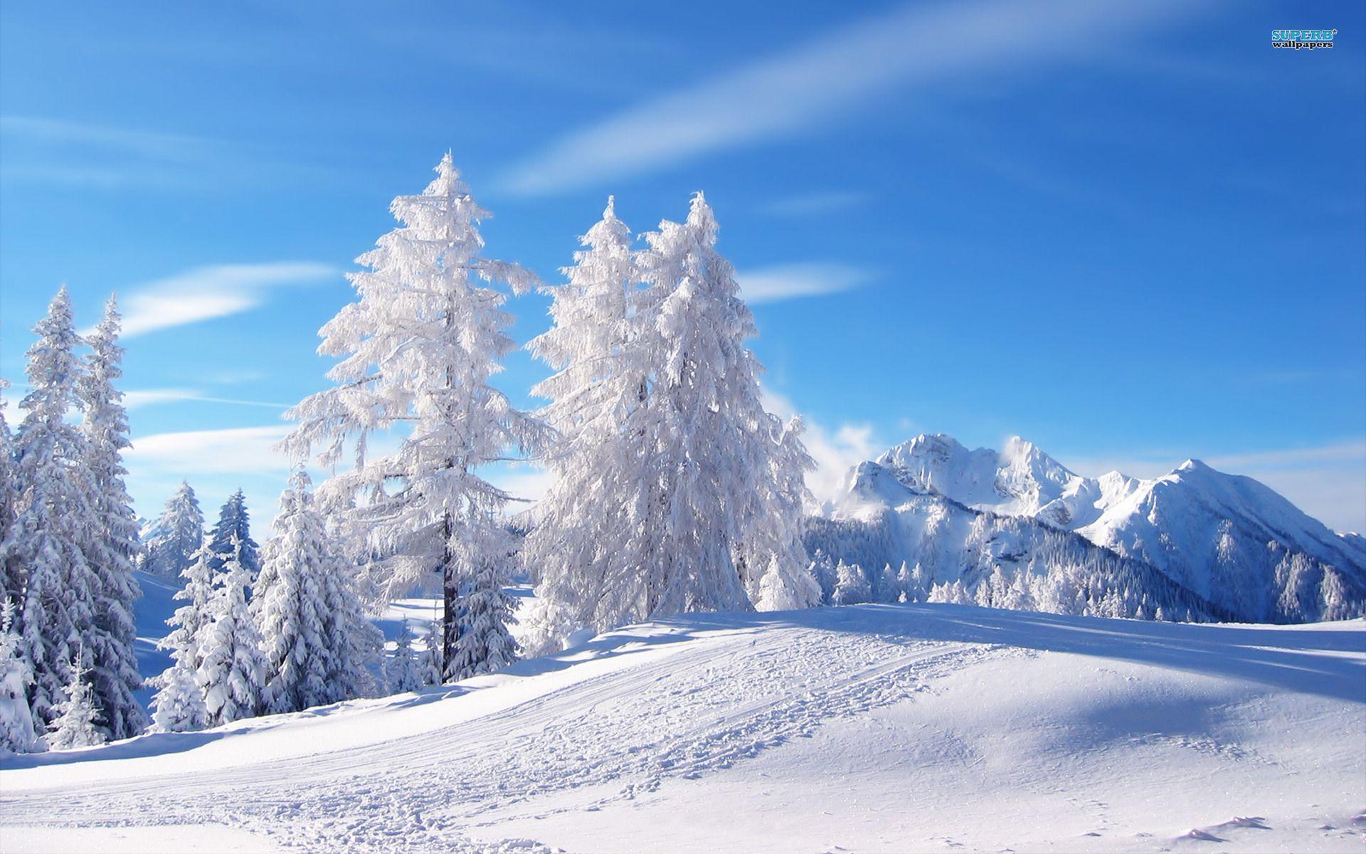 1920x1200 Wallpaper Neige Winter Wallpaper HD 1080p