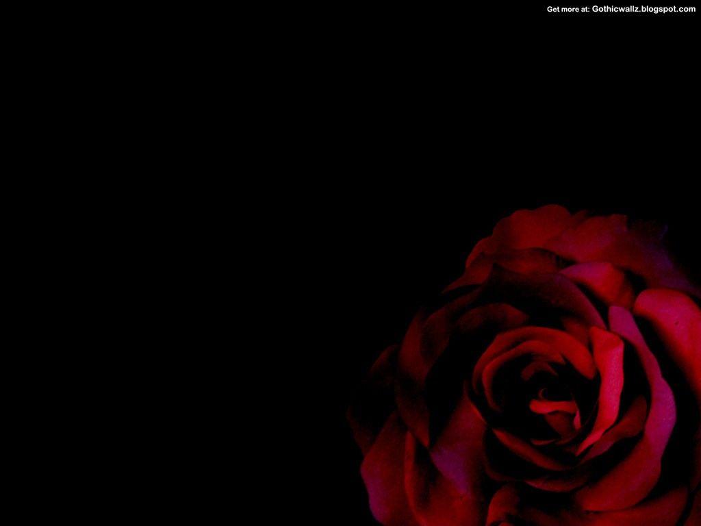 1024x768 Gothic Rose Gothic Wallpaper Gothic Wallpaper
