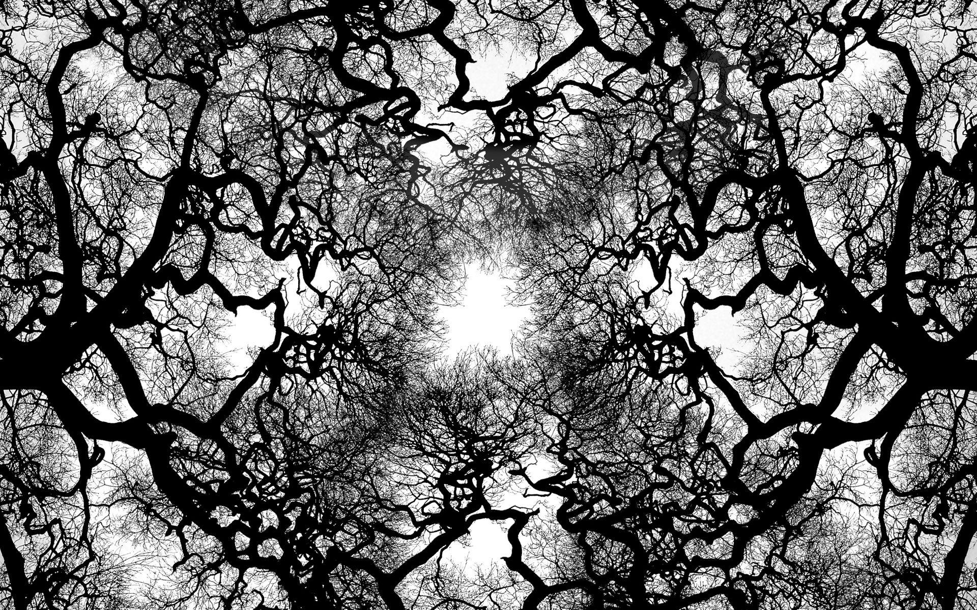 1920x1200 Free download Tree Veins Wallpaper 1920x1200 Tree Veins Is