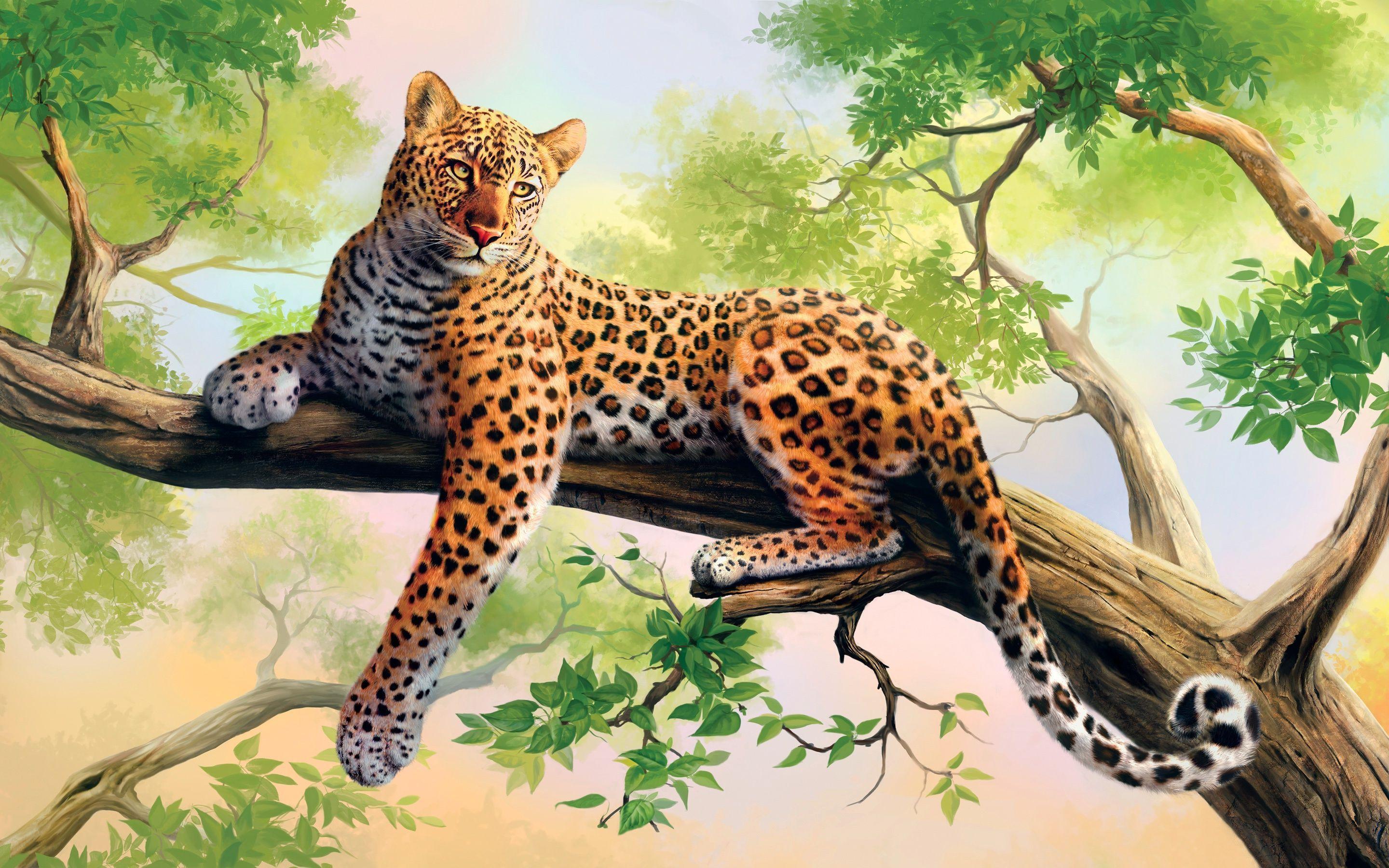 2880x1800 Lazy leopard on the tree branch HD desktop wallpaper : Widescreen