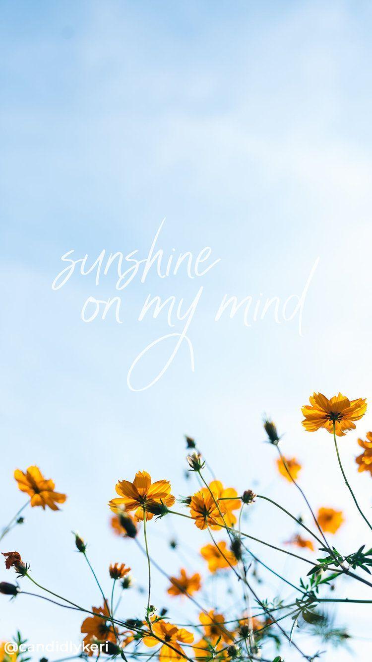 750x1333 Sunshine on my mind flowers field quote inspirational background
