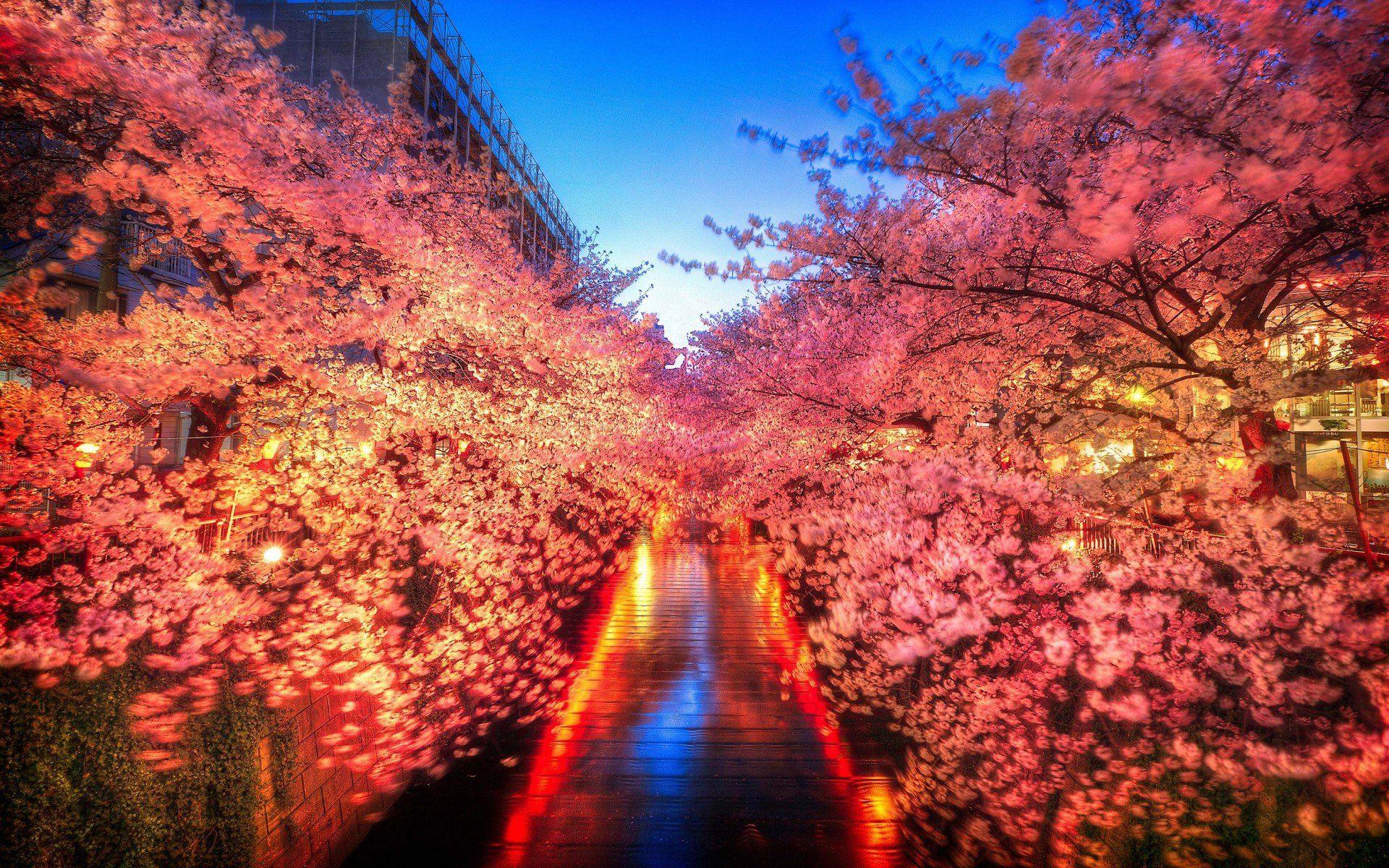 Tokyo Japan 4K Wallpapers - Top Free Tokyo Japan 4K ...