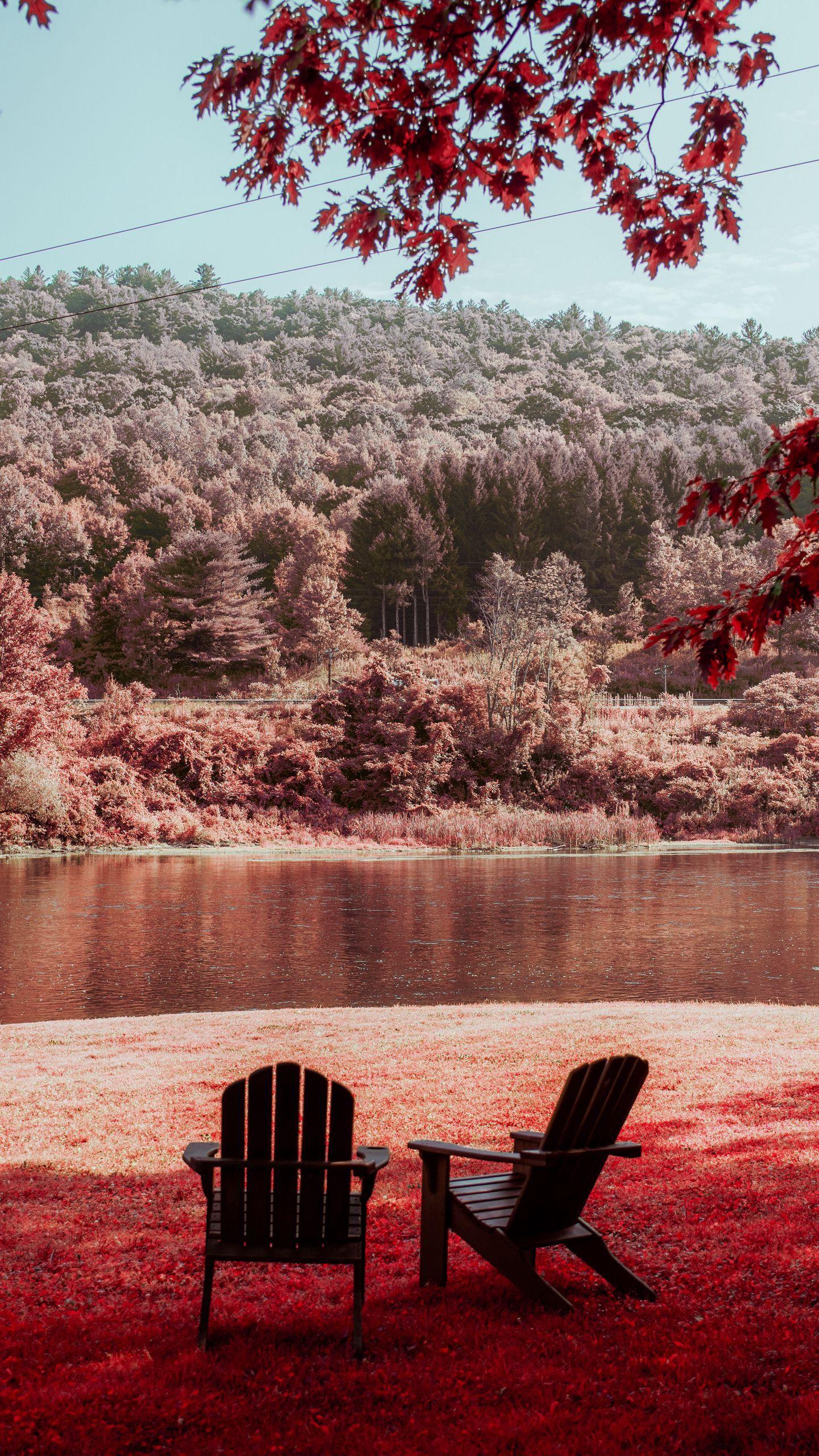 1440x2560 Download wallpaper 1440x2560 river, shore, rest, chairs, forest
