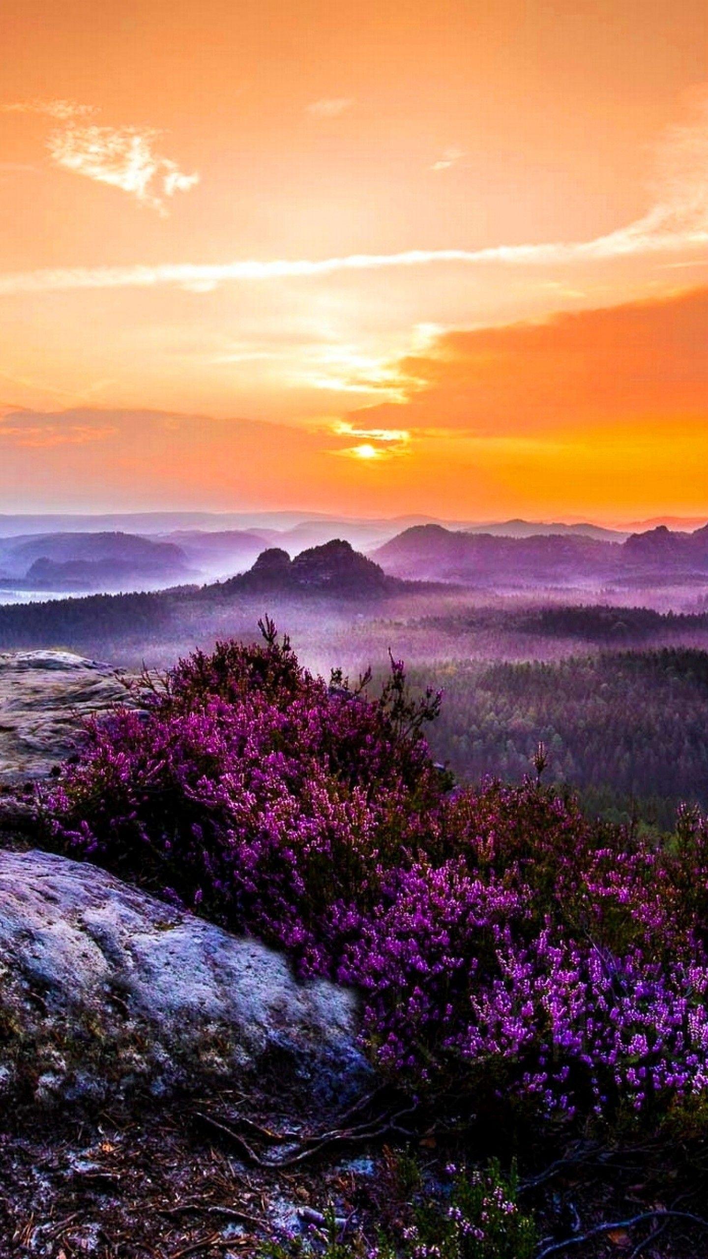 1440x2560 Free download Mac Wallpaper Sky Nature Wallpaper Download HD