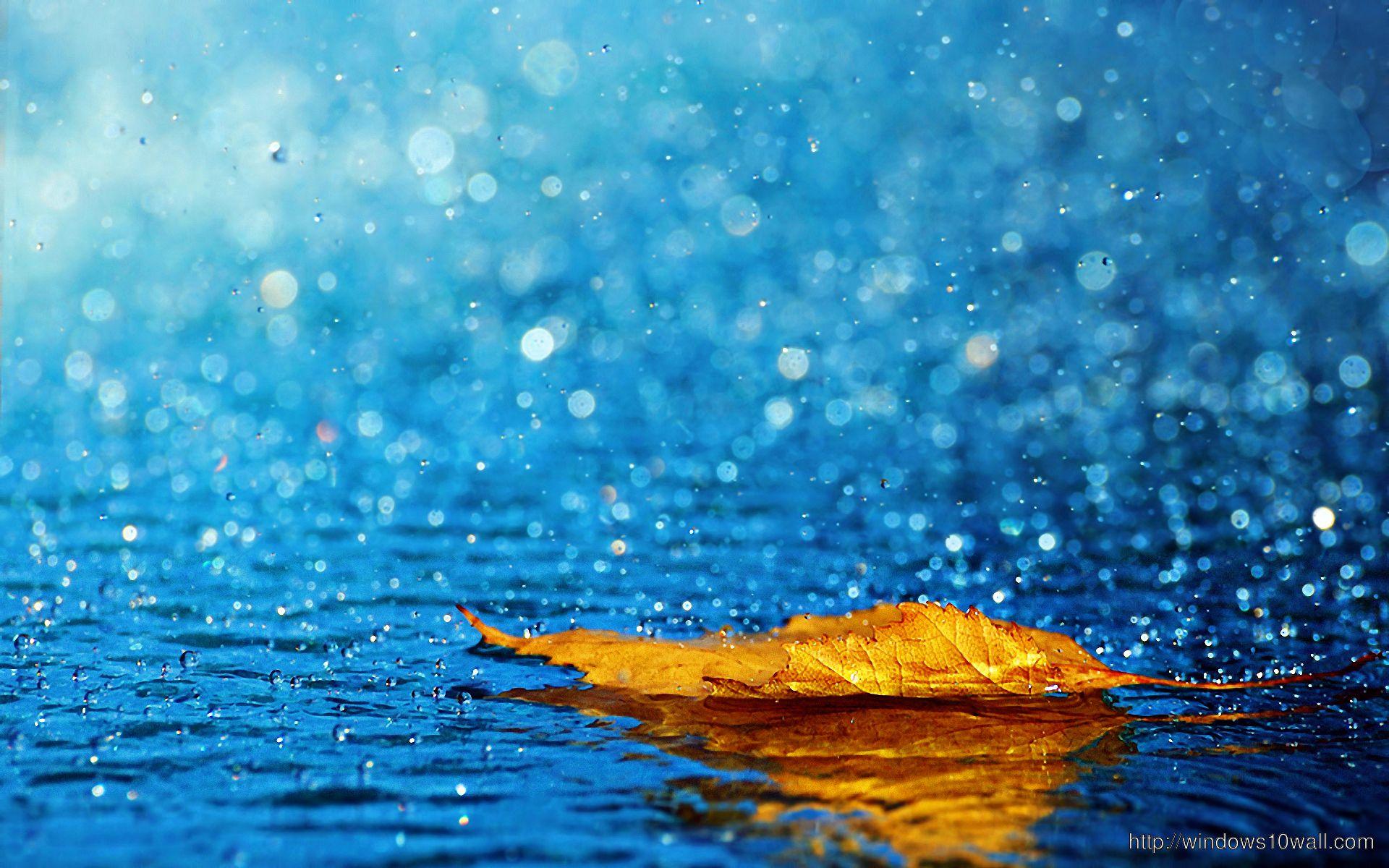 1920x1200 nature raining wallpaper image