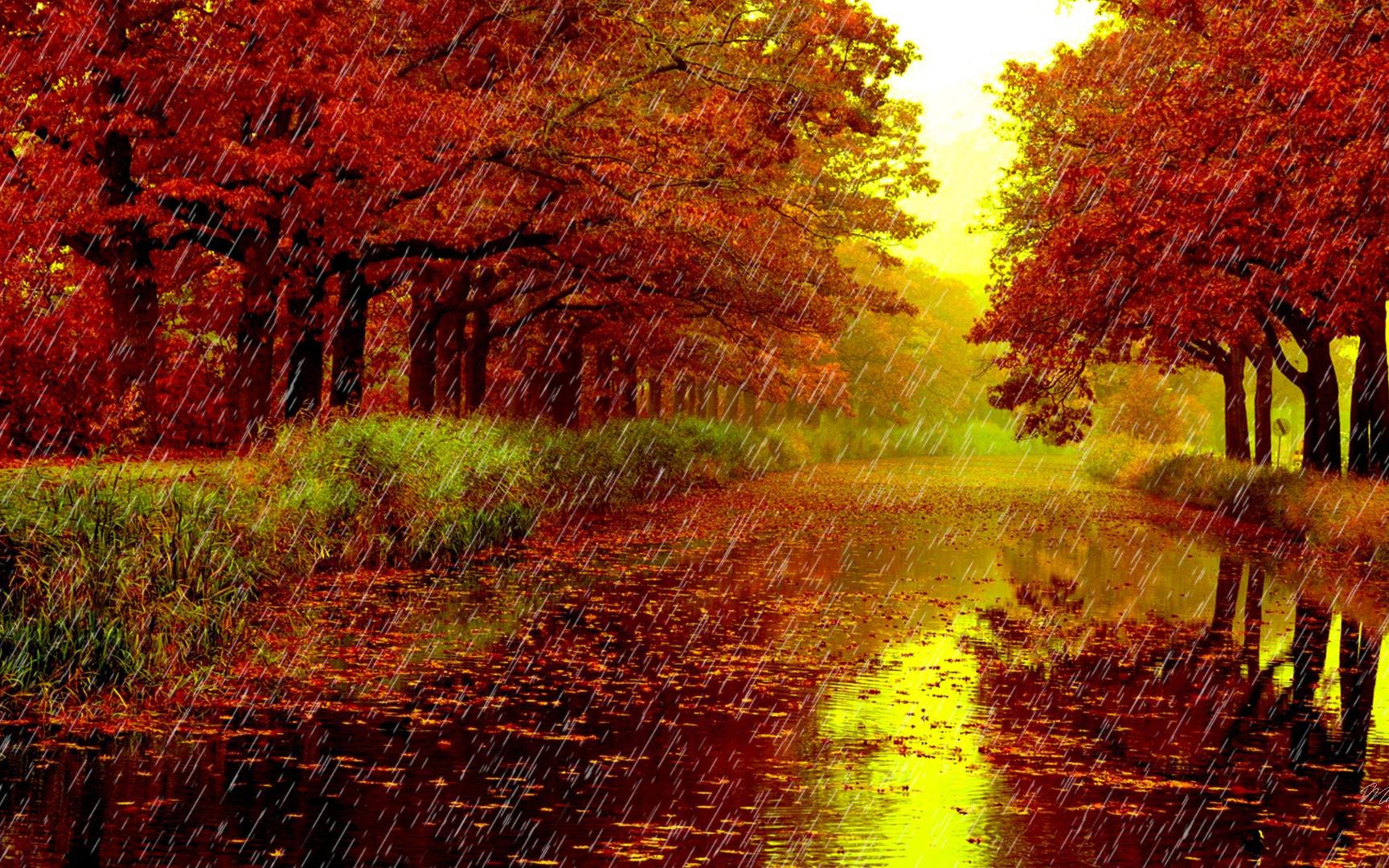 Autumn Rain Wallpaper