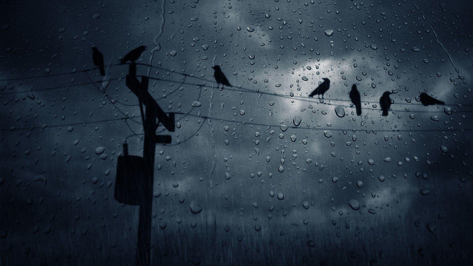 1920x1080 Raining Wallpaper