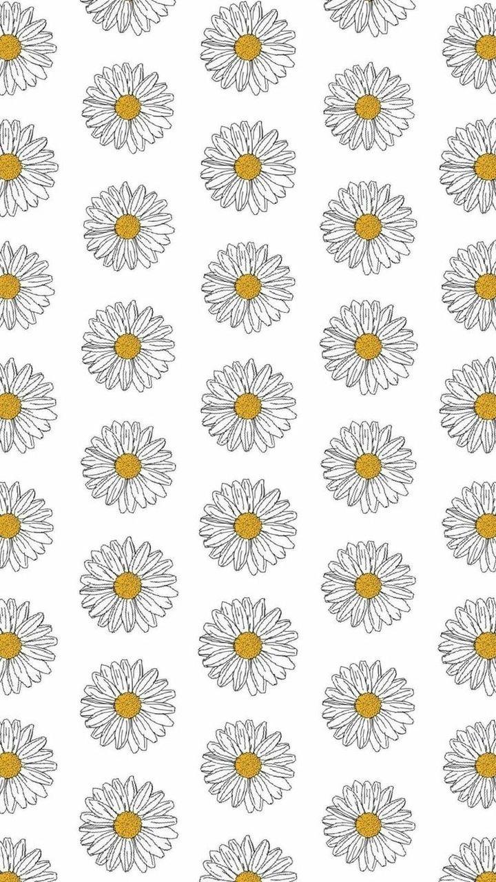 720x1280 Daisy wallpaper shared