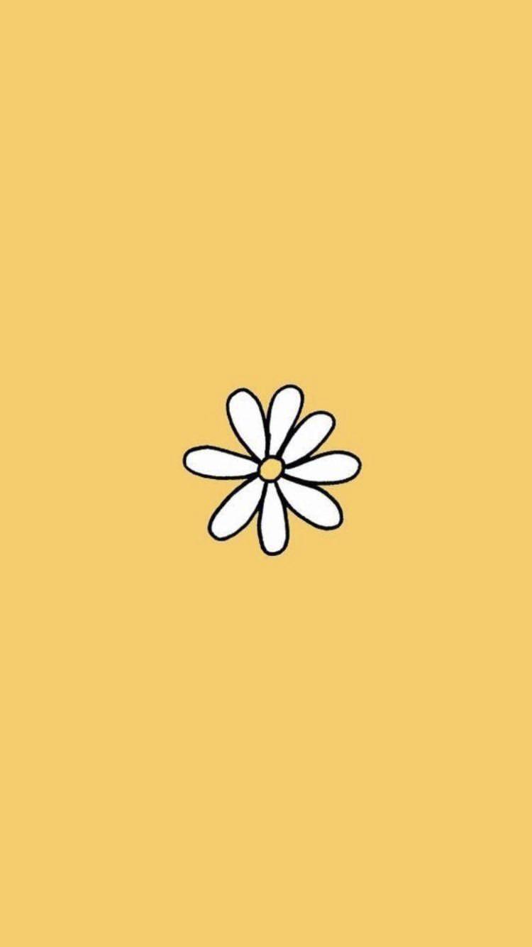 Featured image of post View 13 Cute Aesthetic Daisies Wallpaper