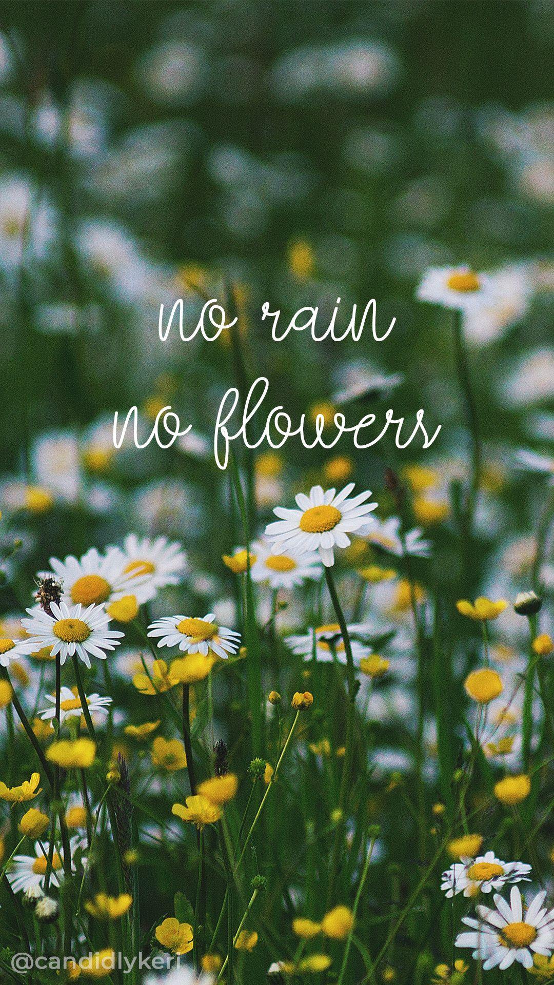 1080x1920 Aesthetic Wallpaper Pc Flowers