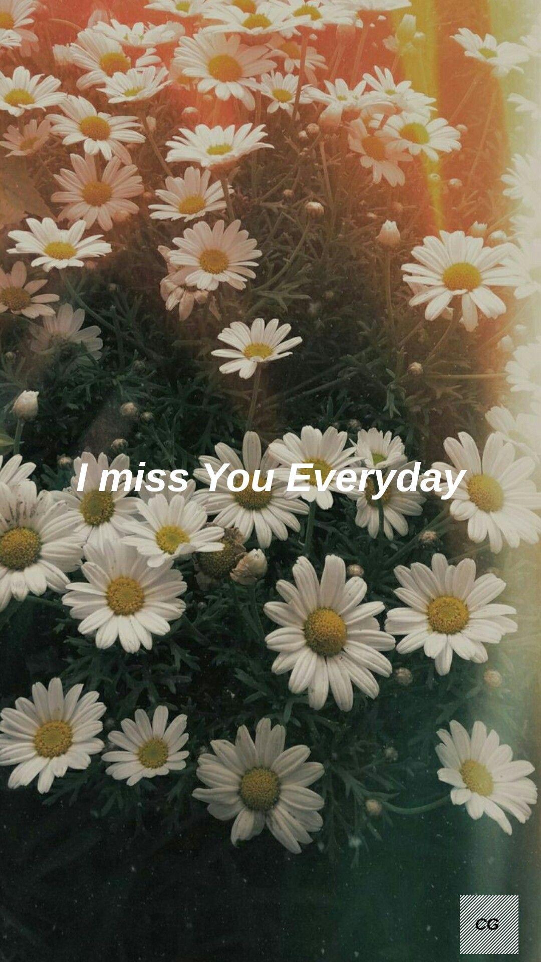 1080x1920 aesthetic #daisies. Daisy wallpaper, Cute wallpaper