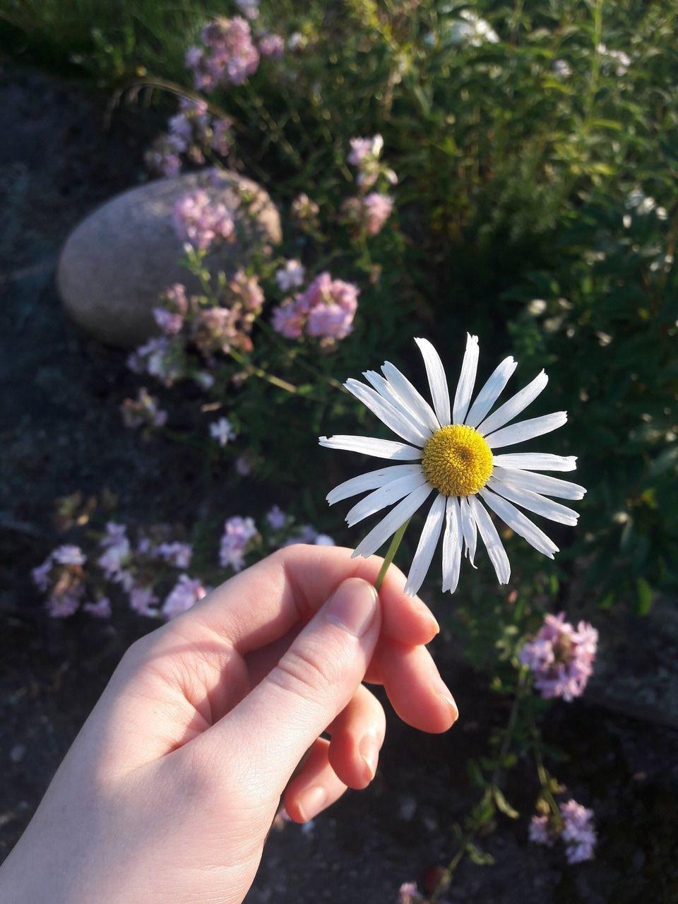 960x1280 pretty, day, aesthetic and wallpaper